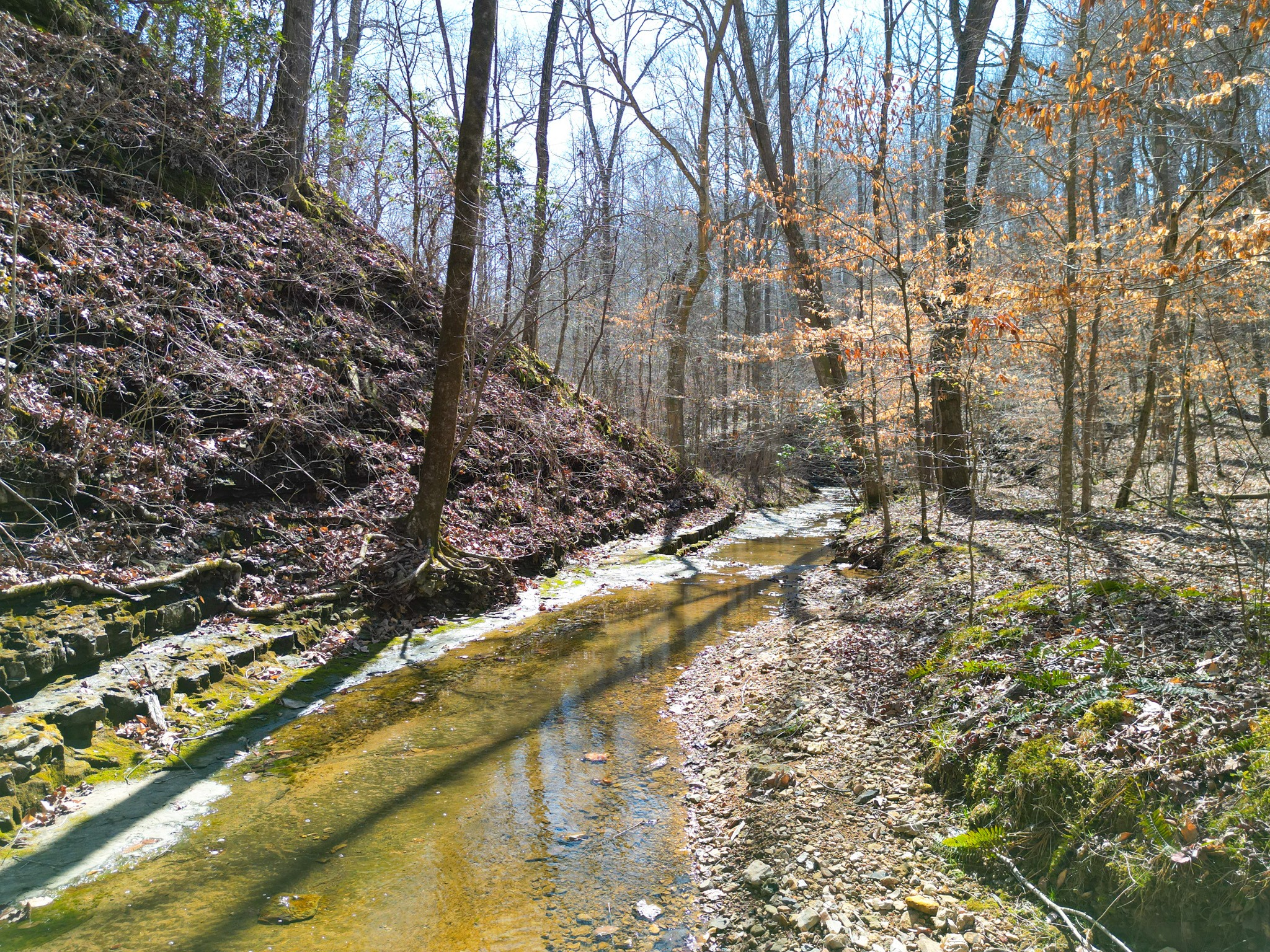 1 Bandy Road Ashland City, TN 37015 - Photo 42 of 84