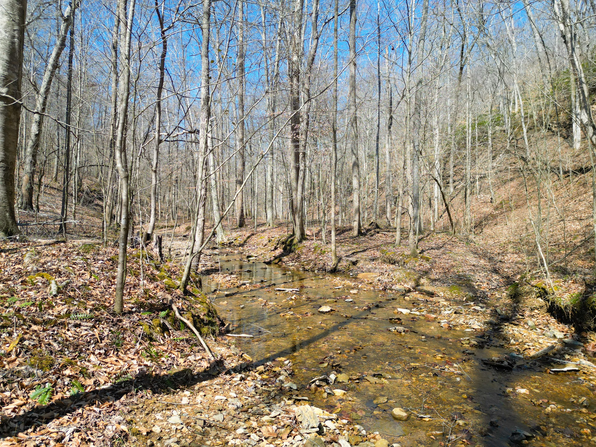1 Bandy Road Ashland City, TN 37015 - Photo 43 of 84
