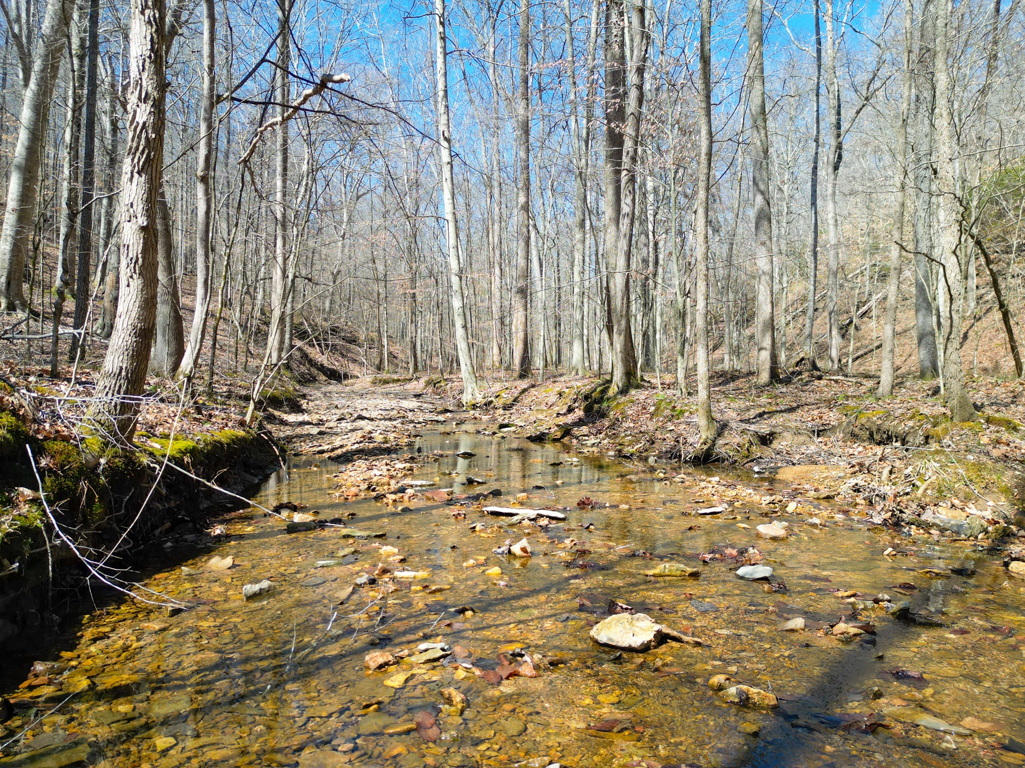 1 Bandy Road Ashland City, TN 37015 - Photo 44 of 84
