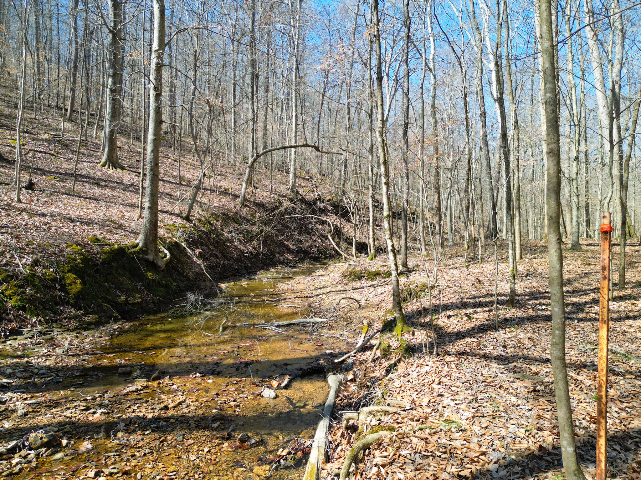 1 Bandy Road Ashland City, TN 37015 - Photo 45 of 84