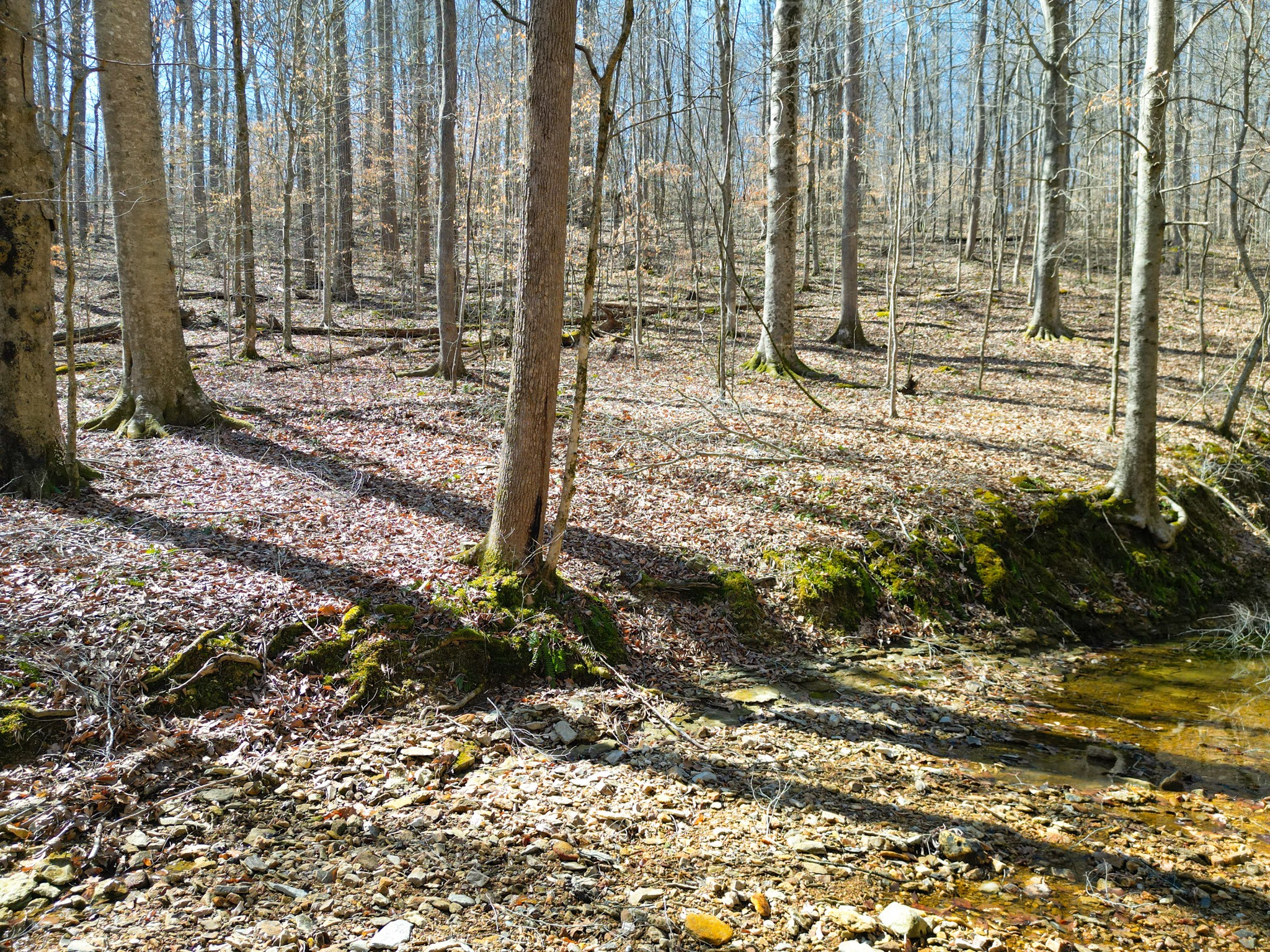 1 Bandy Road Ashland City, TN 37015 - Photo 46 of 84