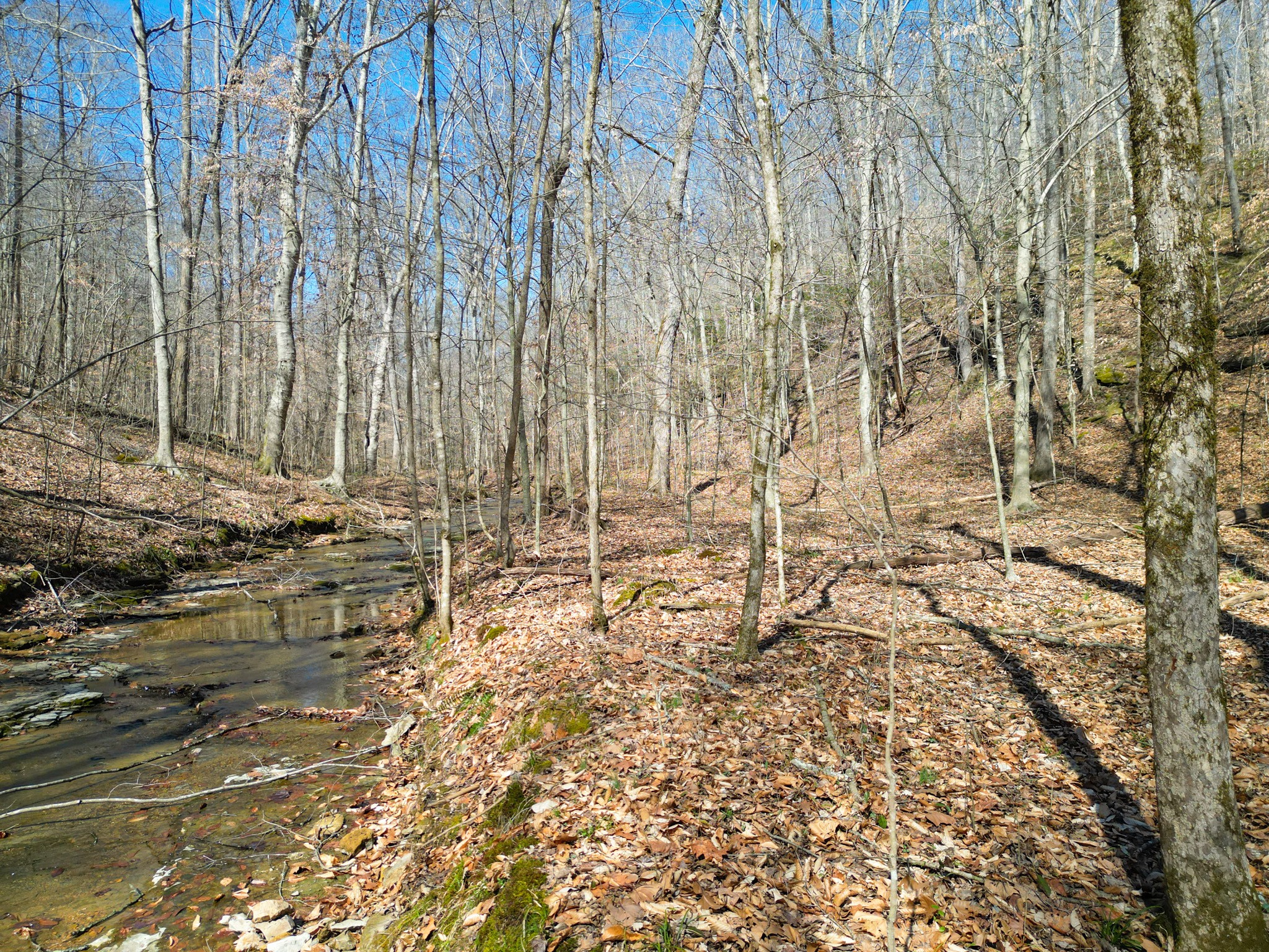 1 Bandy Road Ashland City, TN 37015 - Photo 48 of 84 a view of ocean with trees