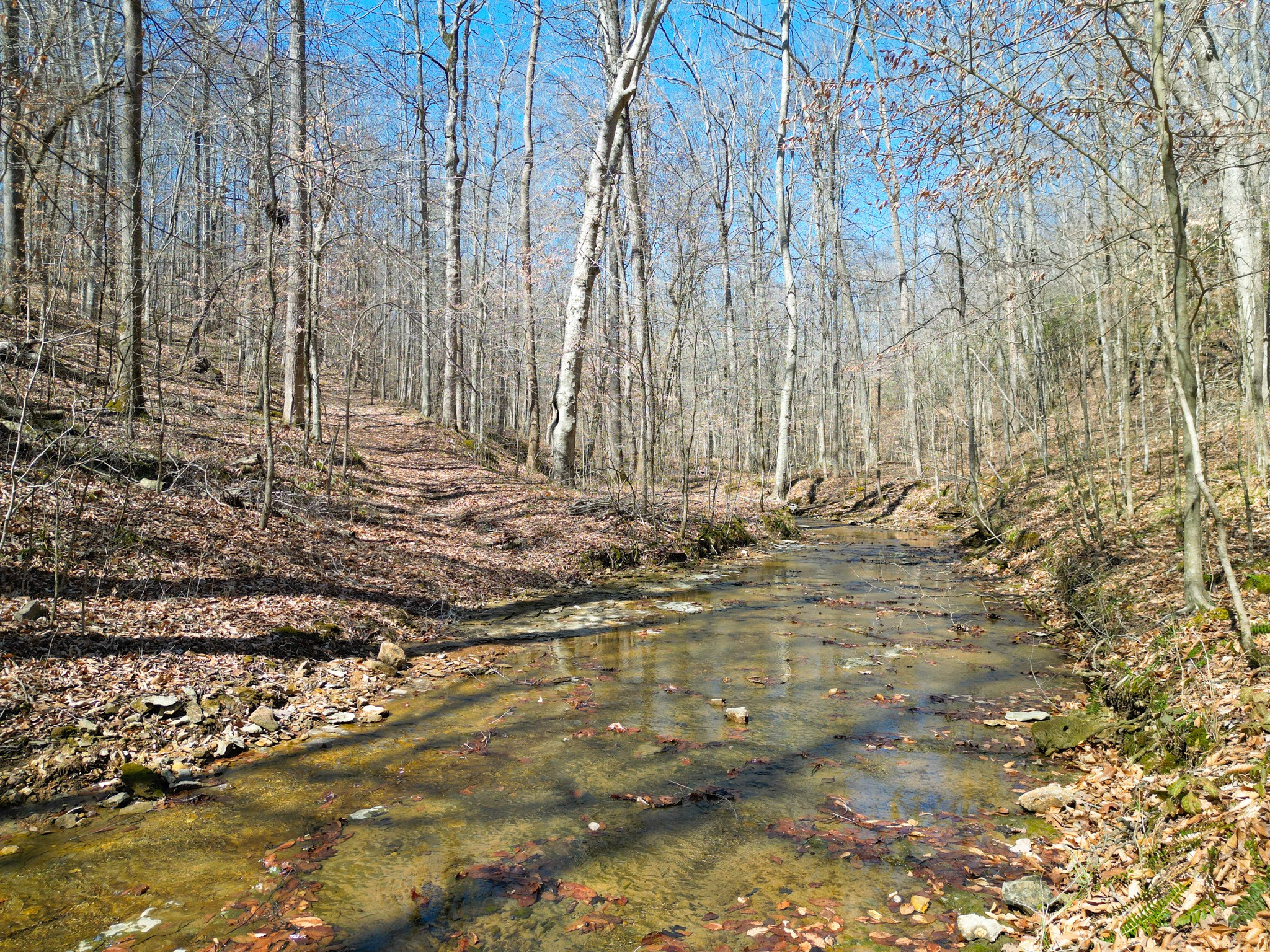 1 Bandy Road Ashland City, TN 37015 - Photo 49 of 84 a view of a backyard of the house