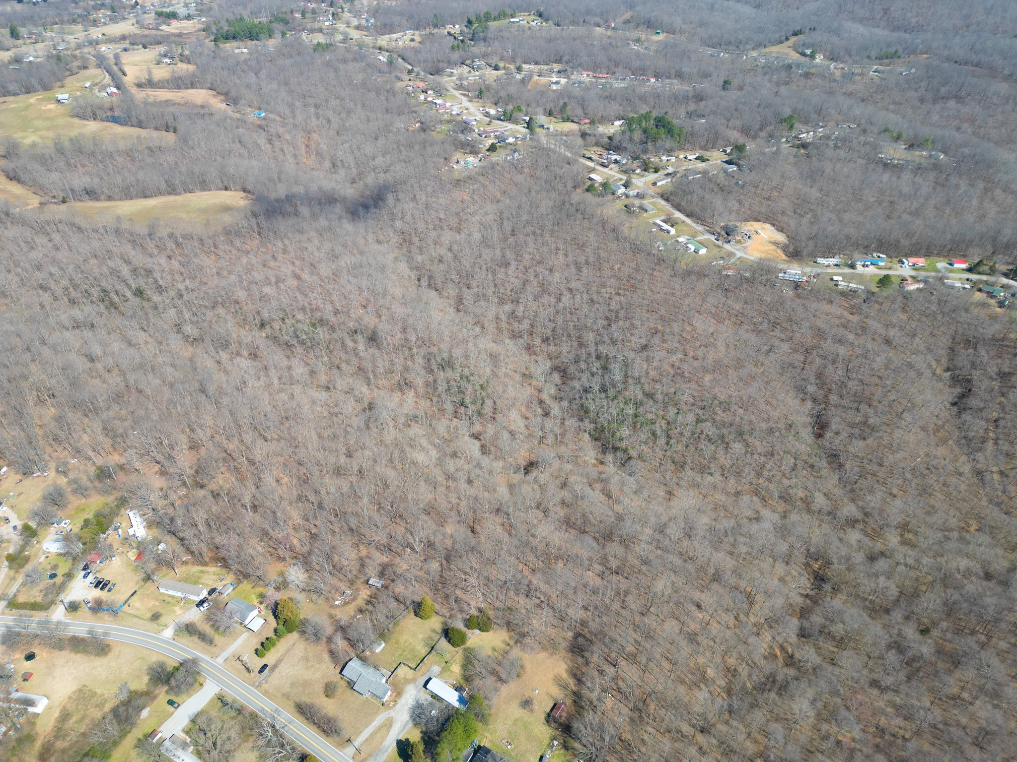 1 Bandy Road Ashland City, TN 37015 - Photo 51 of 84 a view of a dry yard with trees