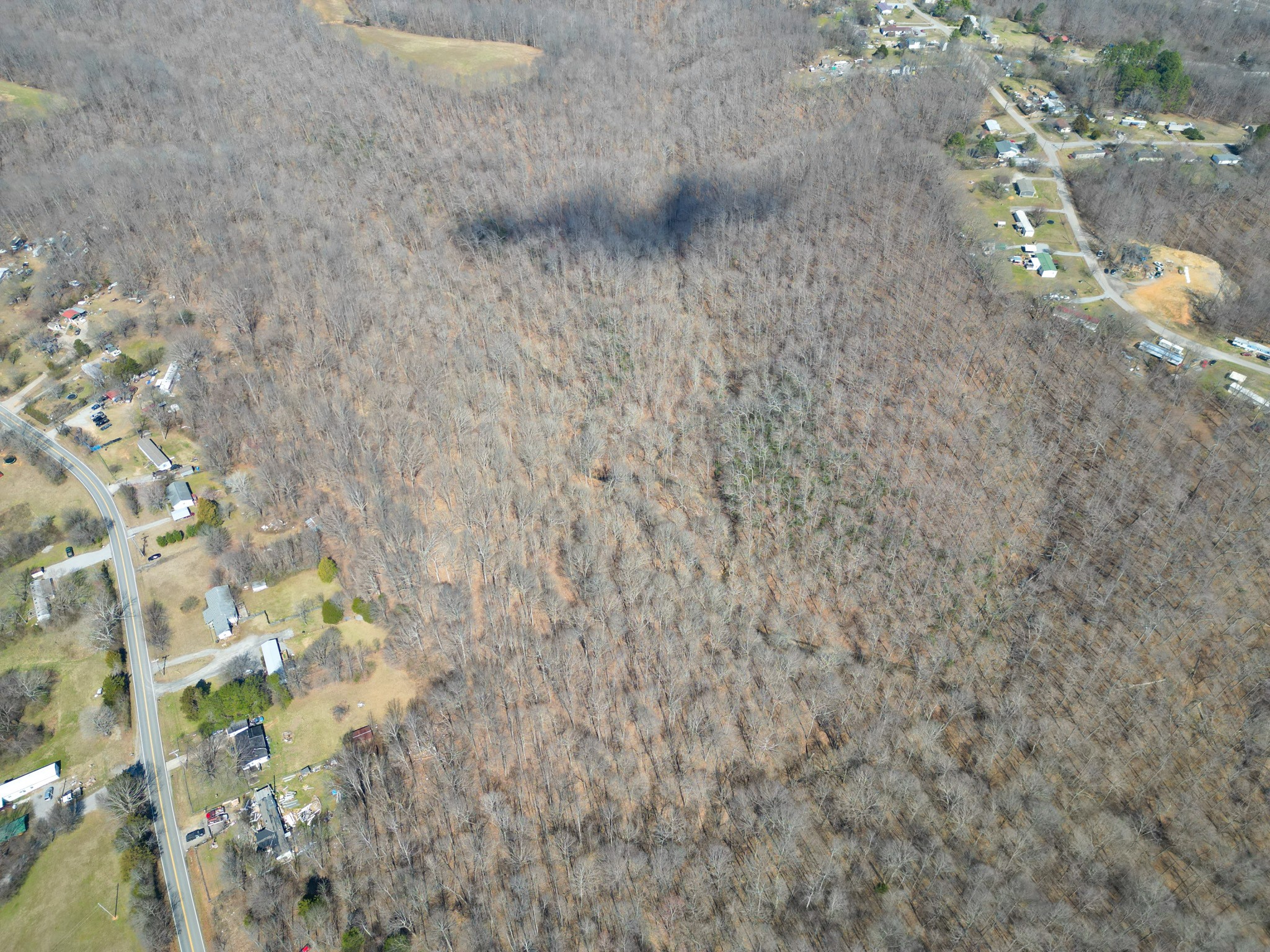 1 Bandy Road Ashland City, TN 37015 - Photo 52 of 84 a picture of a tree