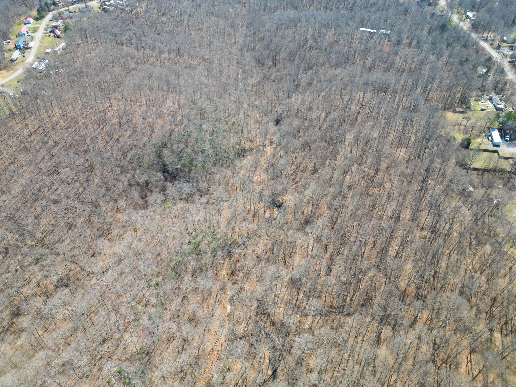 1 Bandy Road Ashland City, TN 37015 - Photo 59 of 84