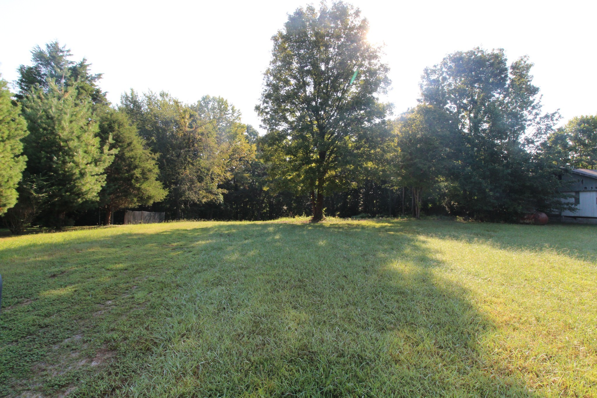1 Bandy Road Ashland City, TN 37015 - Photo 6 of 84 a view of a yard