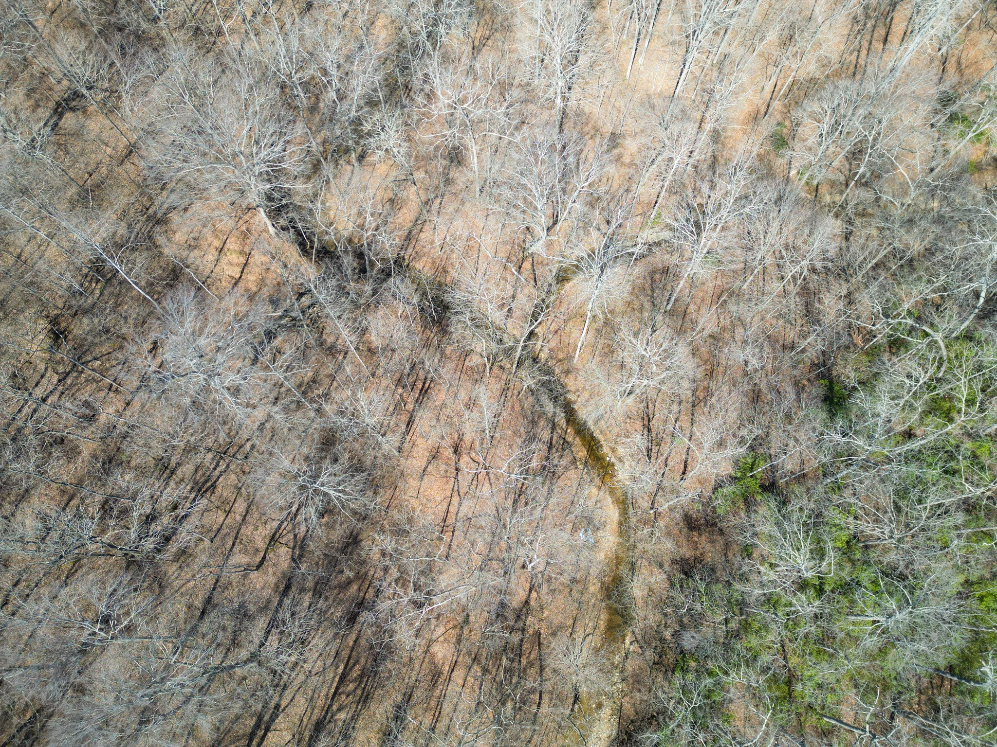 1 Bandy Road Ashland City, TN 37015 - Photo 67 of 84