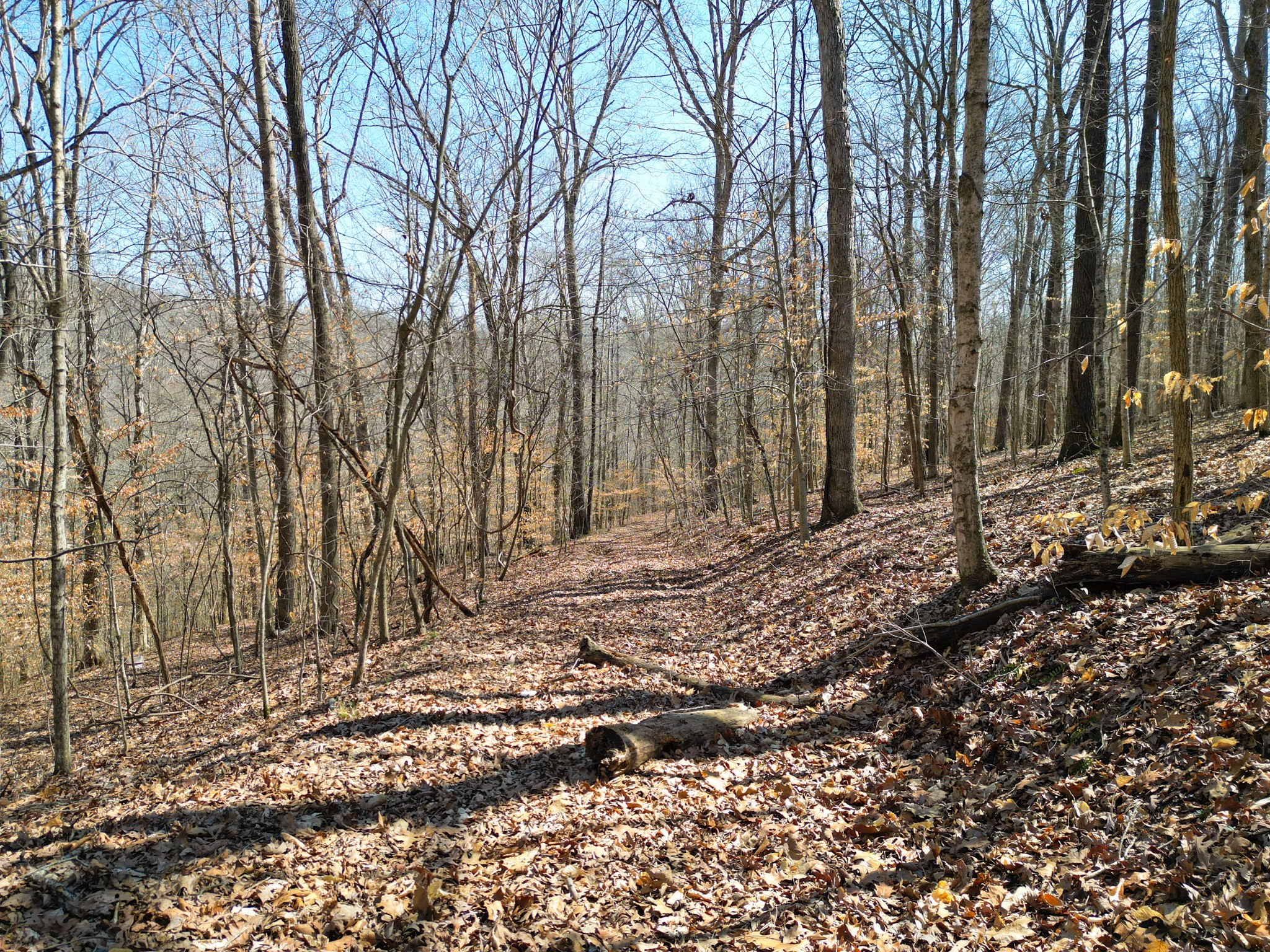 1 Bandy Road Ashland City, TN 37015 - Photo 77 of 84 a view of a backyard of the house