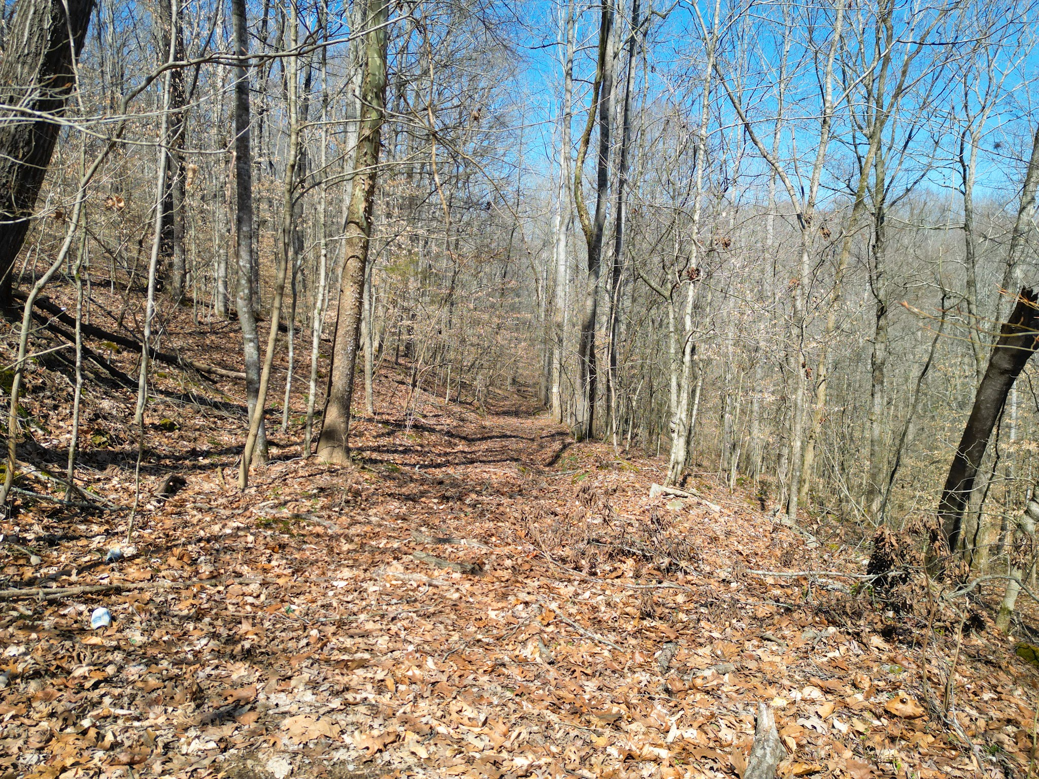 1 Bandy Road Ashland City, TN 37015 - Photo 79 of 84