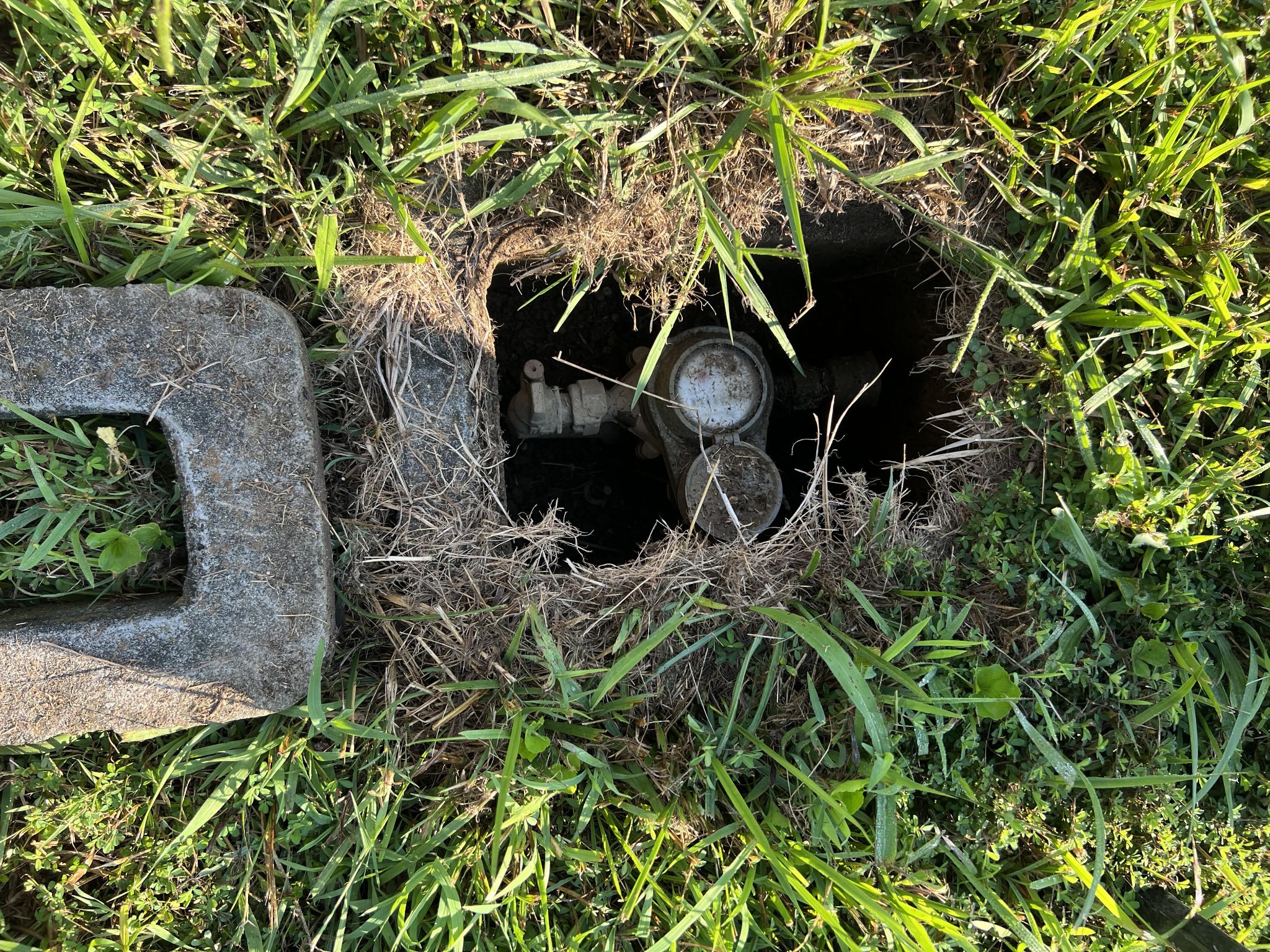1 Bandy Road Ashland City, TN 37015 - Photo 8 of 84 view of a backyard of the house