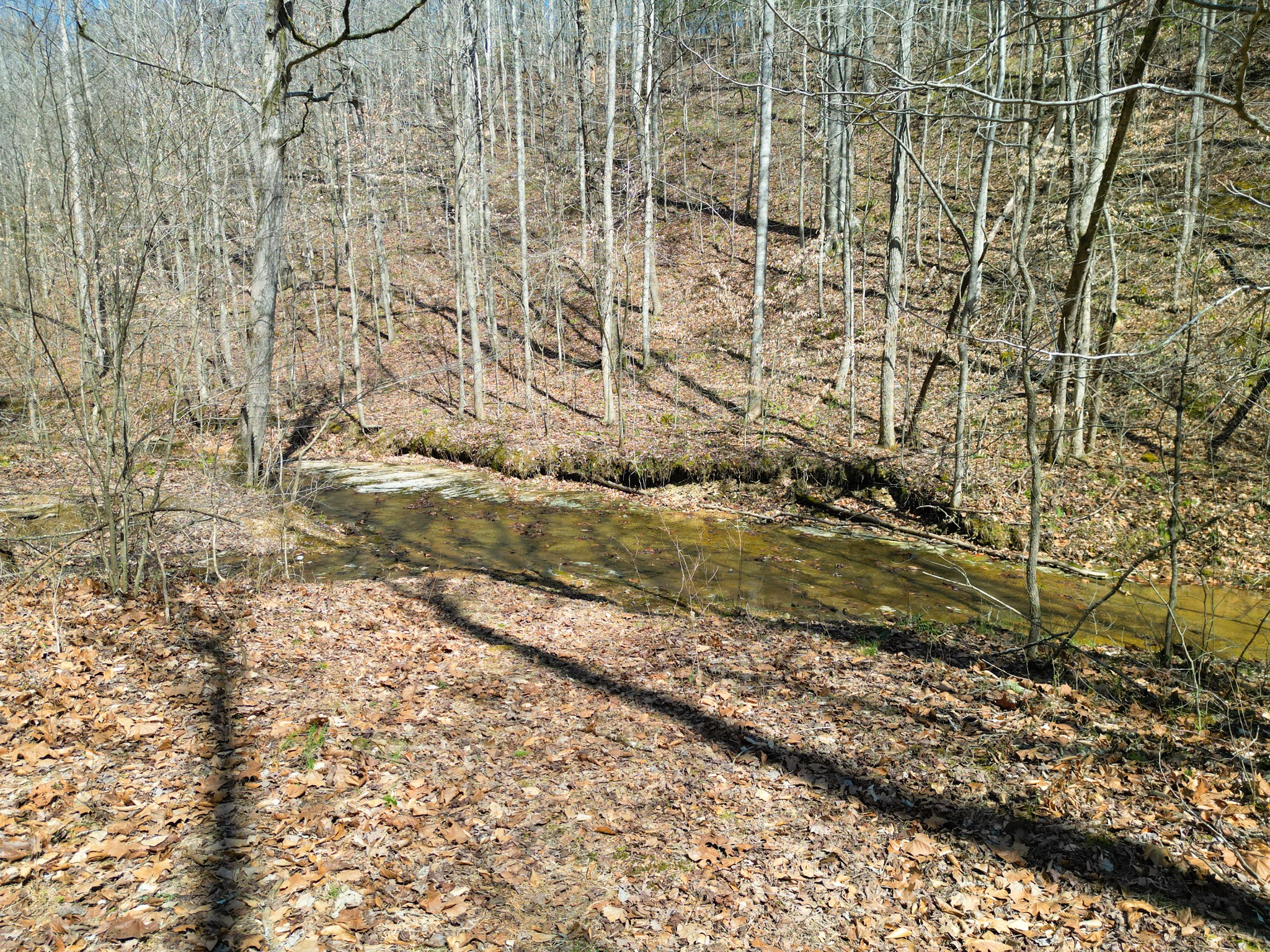 1 Bandy Road Ashland City, TN 37015 - Photo 81 of 84 a view of a backyard of the house