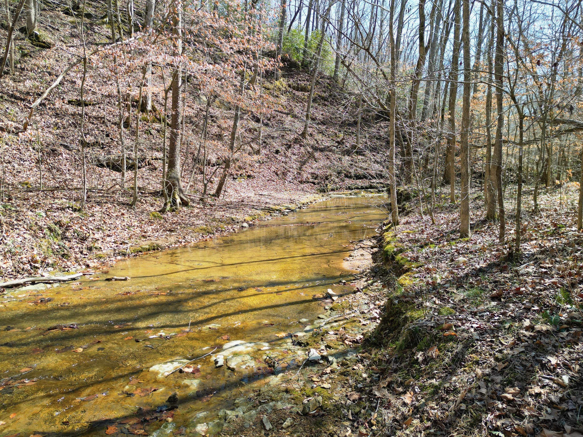 1 Bandy Road Ashland City, TN 37015 - Photo 82 of 84