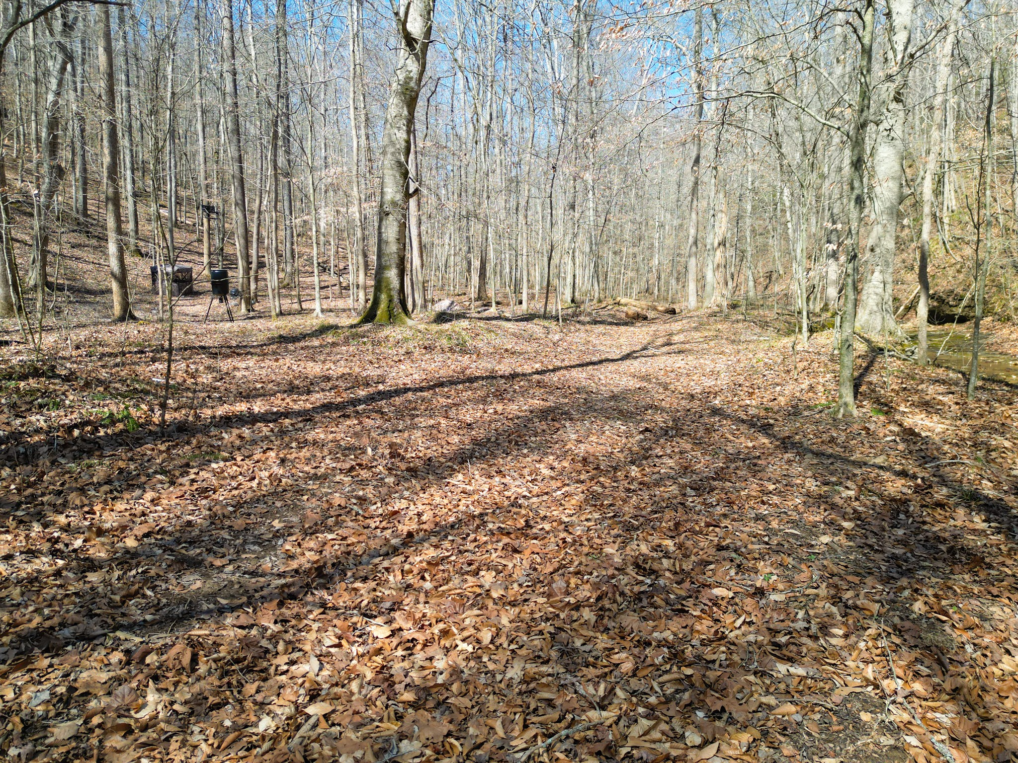 1 Bandy Road Ashland City, TN 37015 - Photo 83 of 84