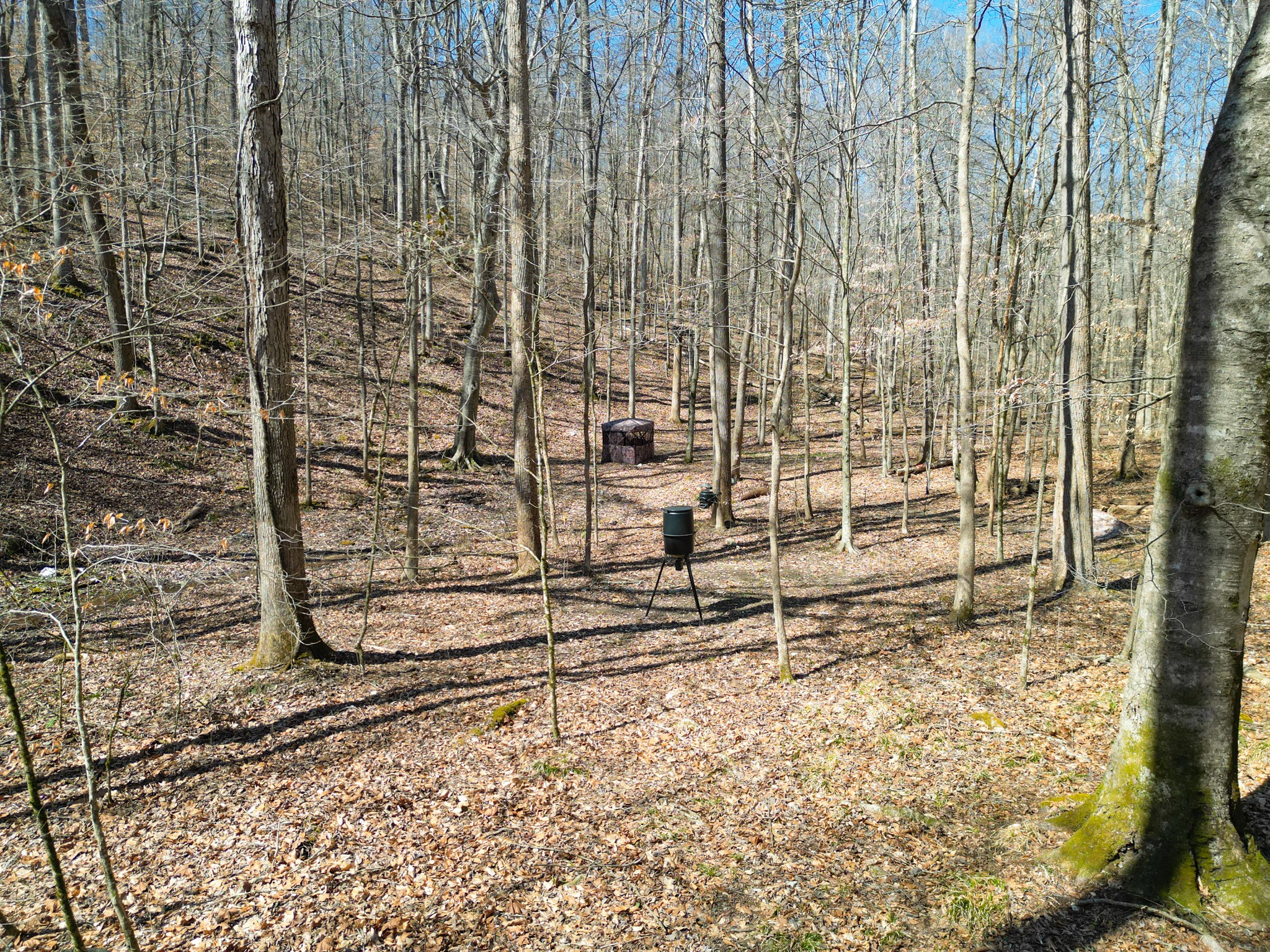 1 Bandy Road Ashland City, TN 37015 - Photo 84 of 84