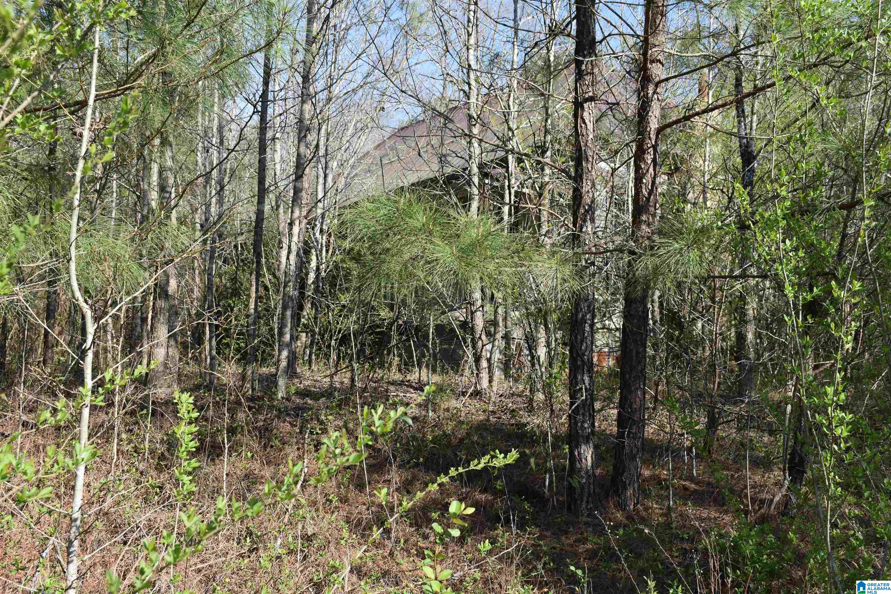 70 Coosa County Road Sylacauga, AL 35150 - Photo 10 of 19