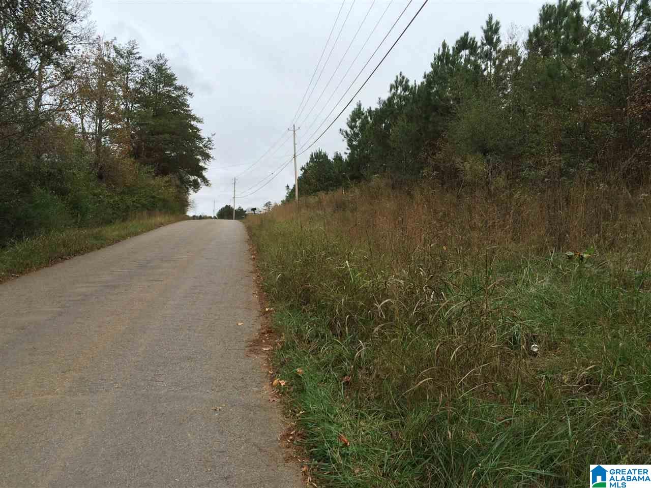 Page Spring Road, Unit 4 Arab, AL 35016 - Photo 14 of 29