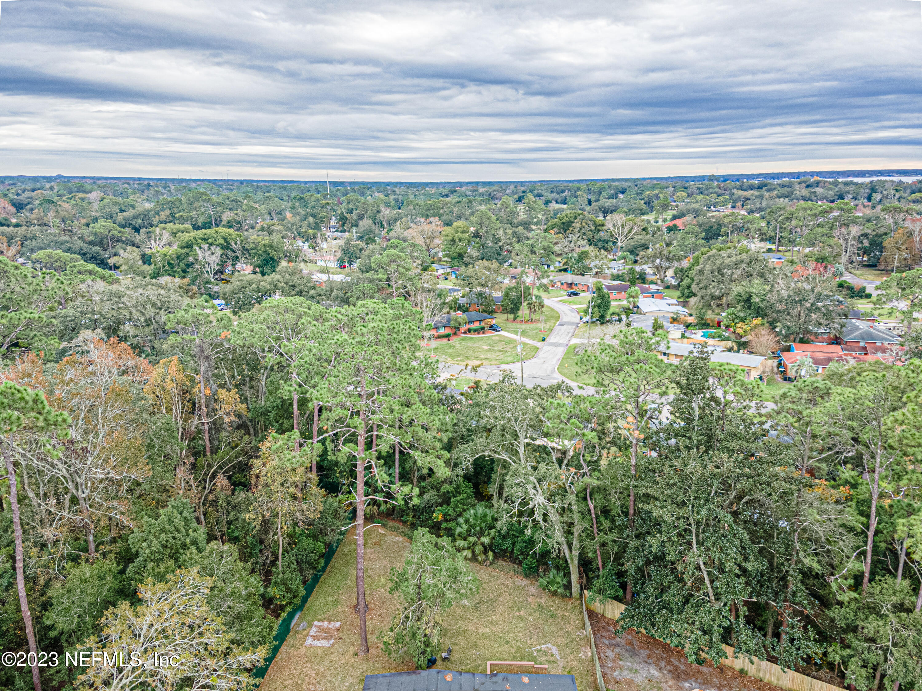 3616 Toledo Road Jacksonville, FL 32217 - Photo 34 of 42 Backyard Aerial