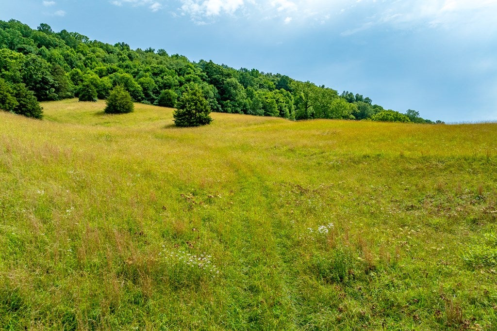 127 Trout Farm Road Rural Retreat, VA 24368 - Photo 68 of 88 Gallery Image 68