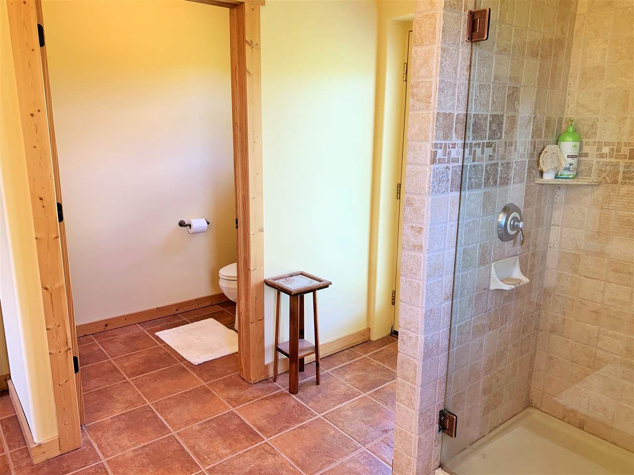 8885 Austin Road Bellaire, MI 49615 - Photo 14 of 45 1861601-13.JPG
