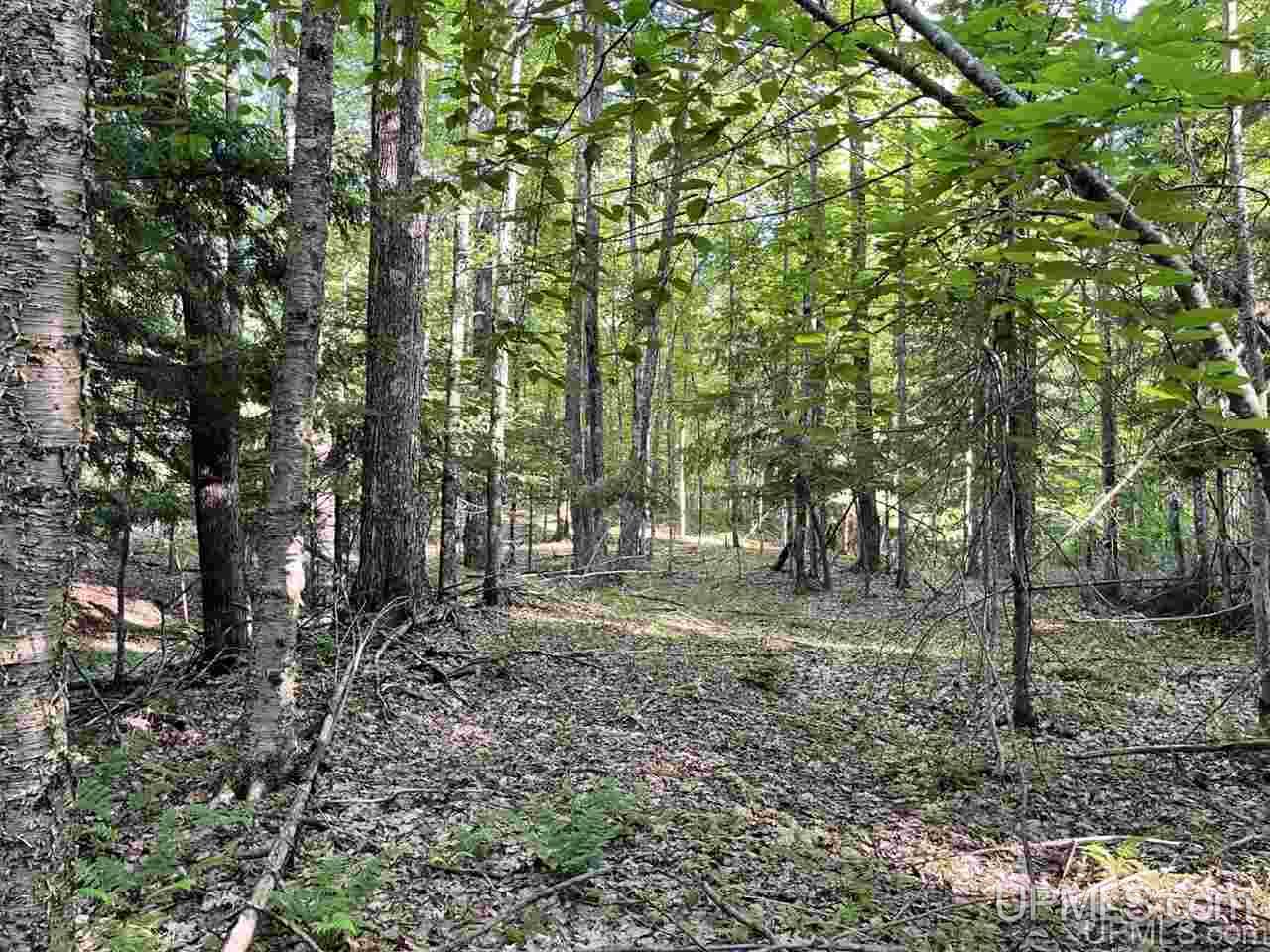 Tbd Tbd Saari Road Lanse, MI 49946 - Photo 24 of 27