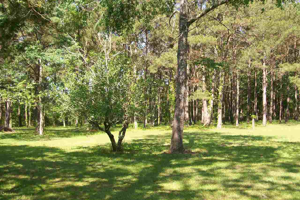 645 Robin Road Monticello, FL 32344 - Photo 4 of 25 Gallery Image 4