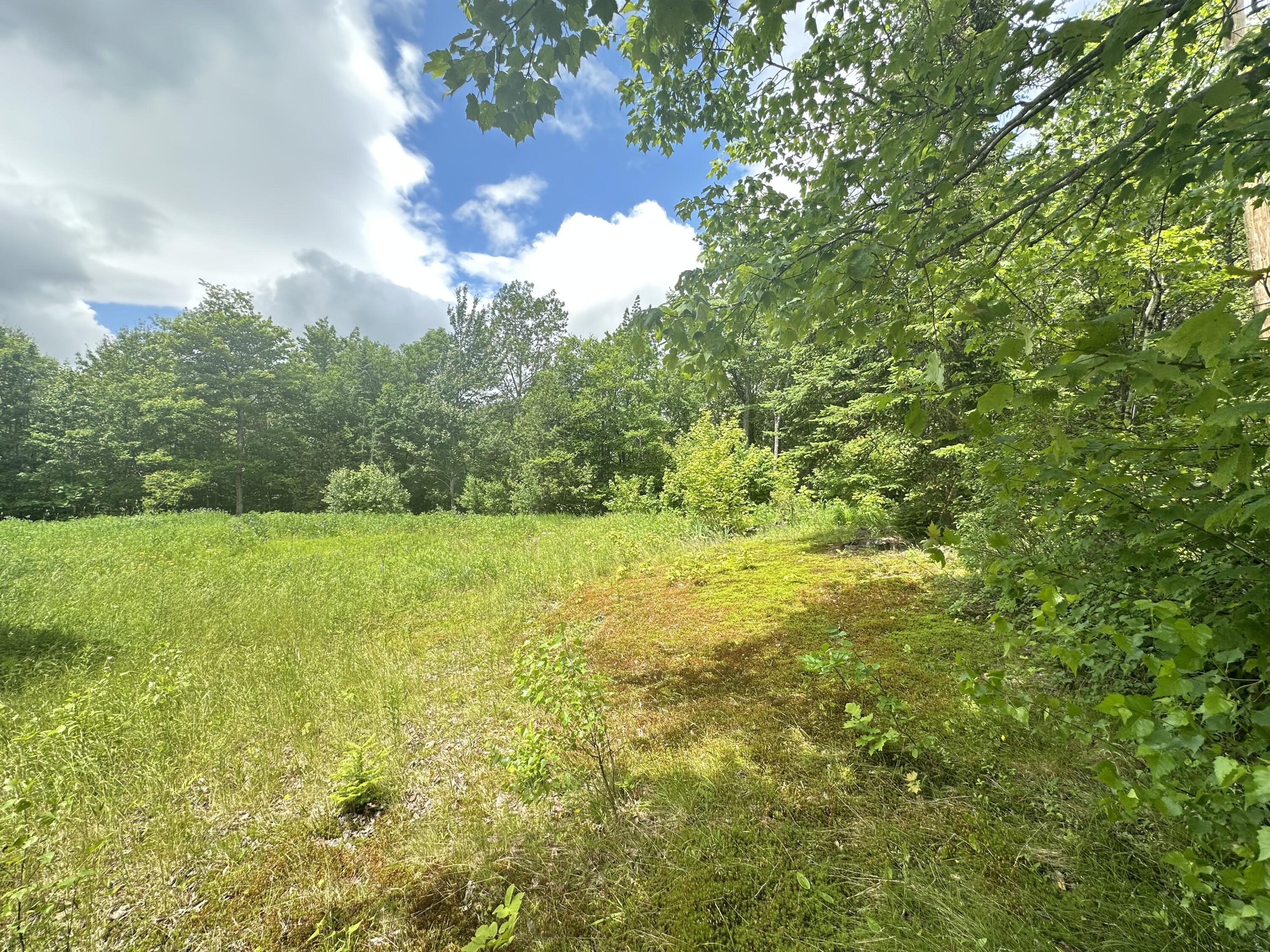 1818 Industry Road Industry, ME 04938 - Photo 2 of 12 IMG_4493
