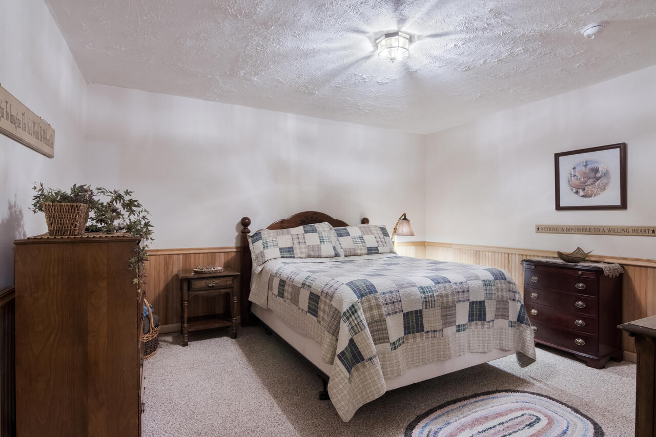8613 Anderson Road Kaleva, MI 49645 - Photo 39 of 73 28-Scene-29