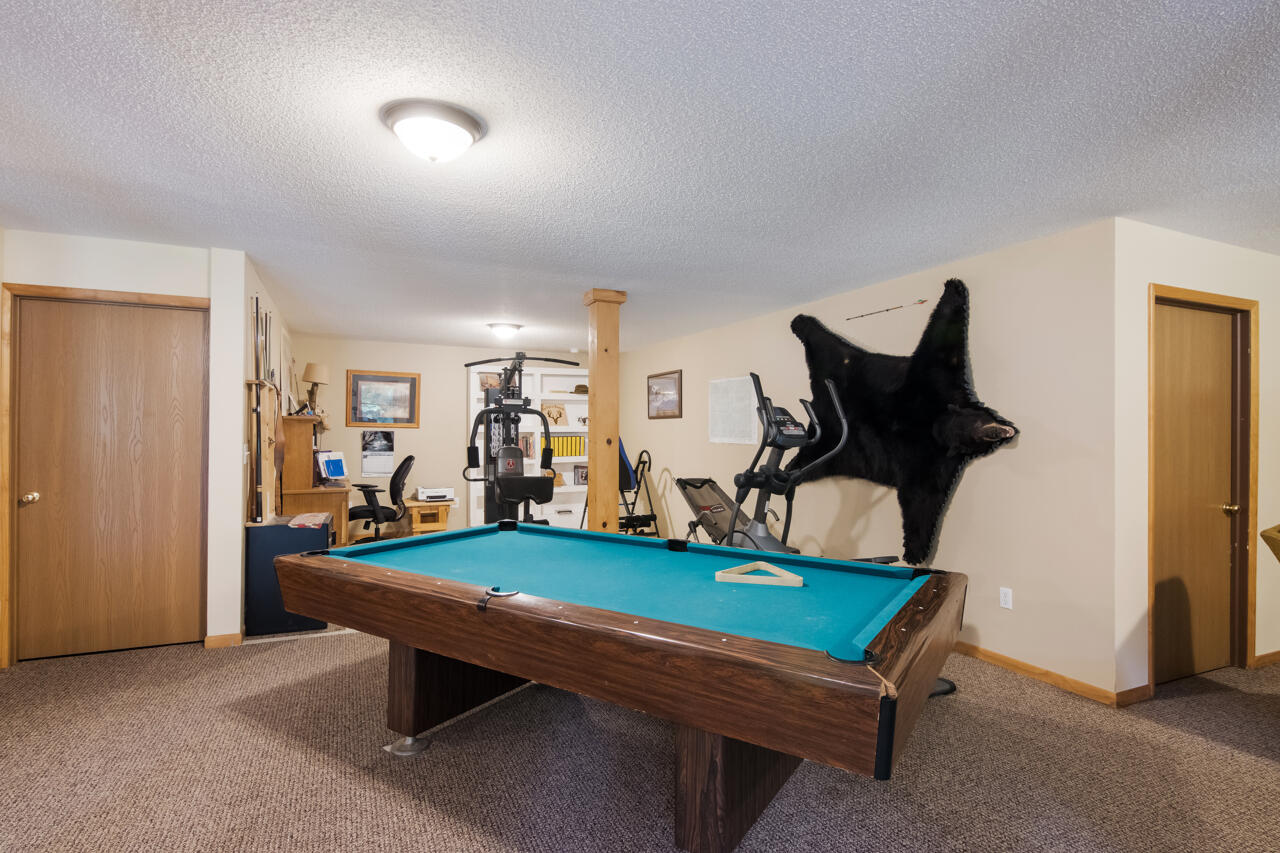 8613 Anderson Road Kaleva, MI 49645 - Photo 40 of 73 31-Scene-32