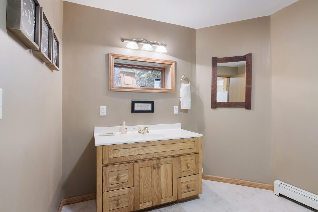 8613 Anderson Road Kaleva, MI 49645 - Photo 47 of 73 38-Scene-40