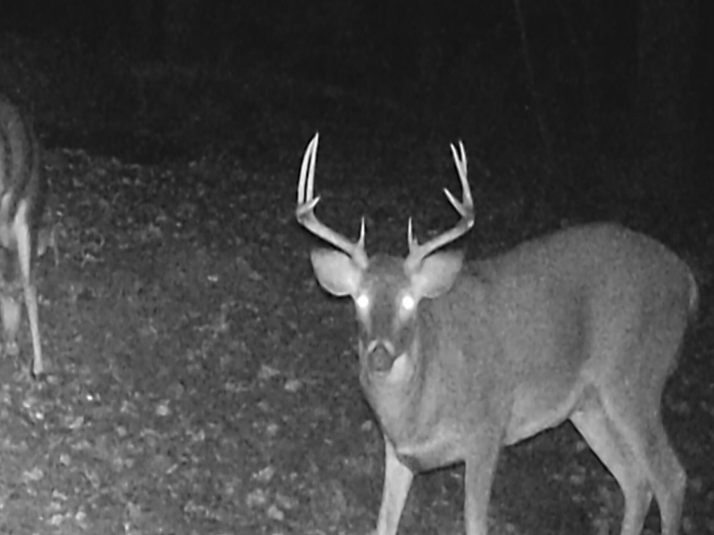 8613 Anderson Road Kaleva, MI 49645 - Photo 73 of 73 WGI_0057-3072x2304