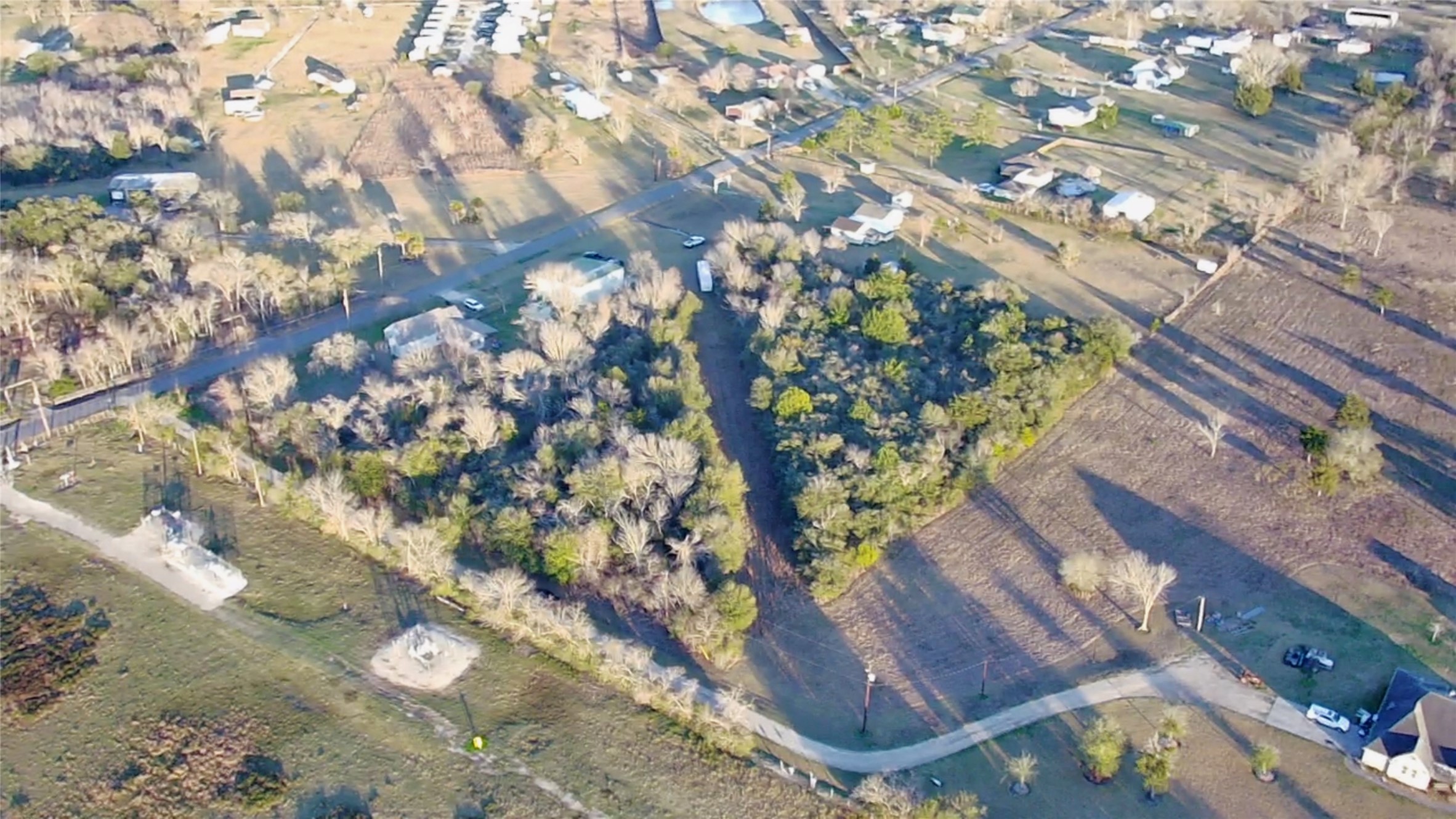 0 Shook Road Santa Fe, TX 77517 - Photo 6 of 12 a view of plant in a yard