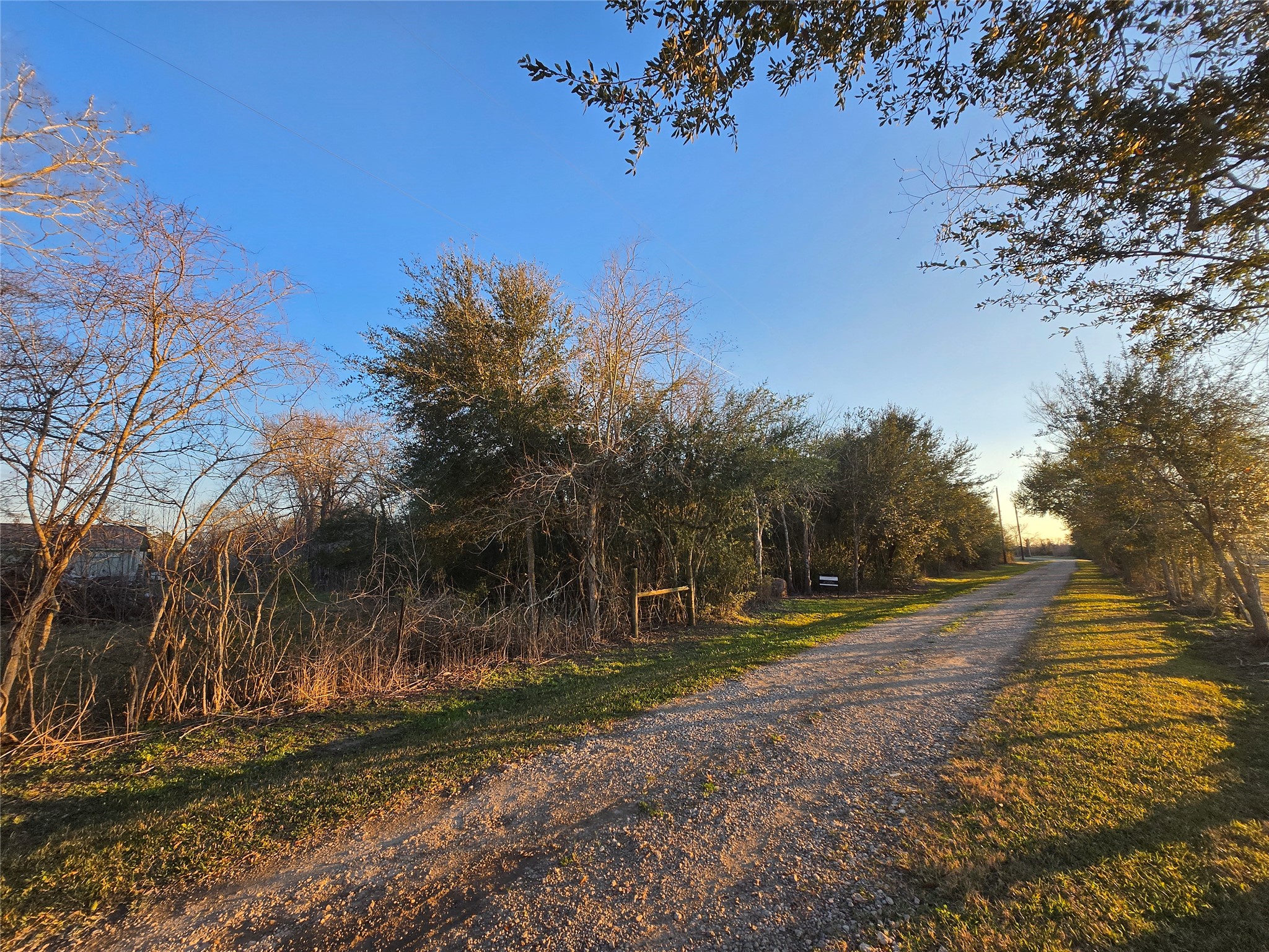 0 Shook Road Santa Fe, TX 77517 - Photo 7 of 12 a view of dirt yard with large trees