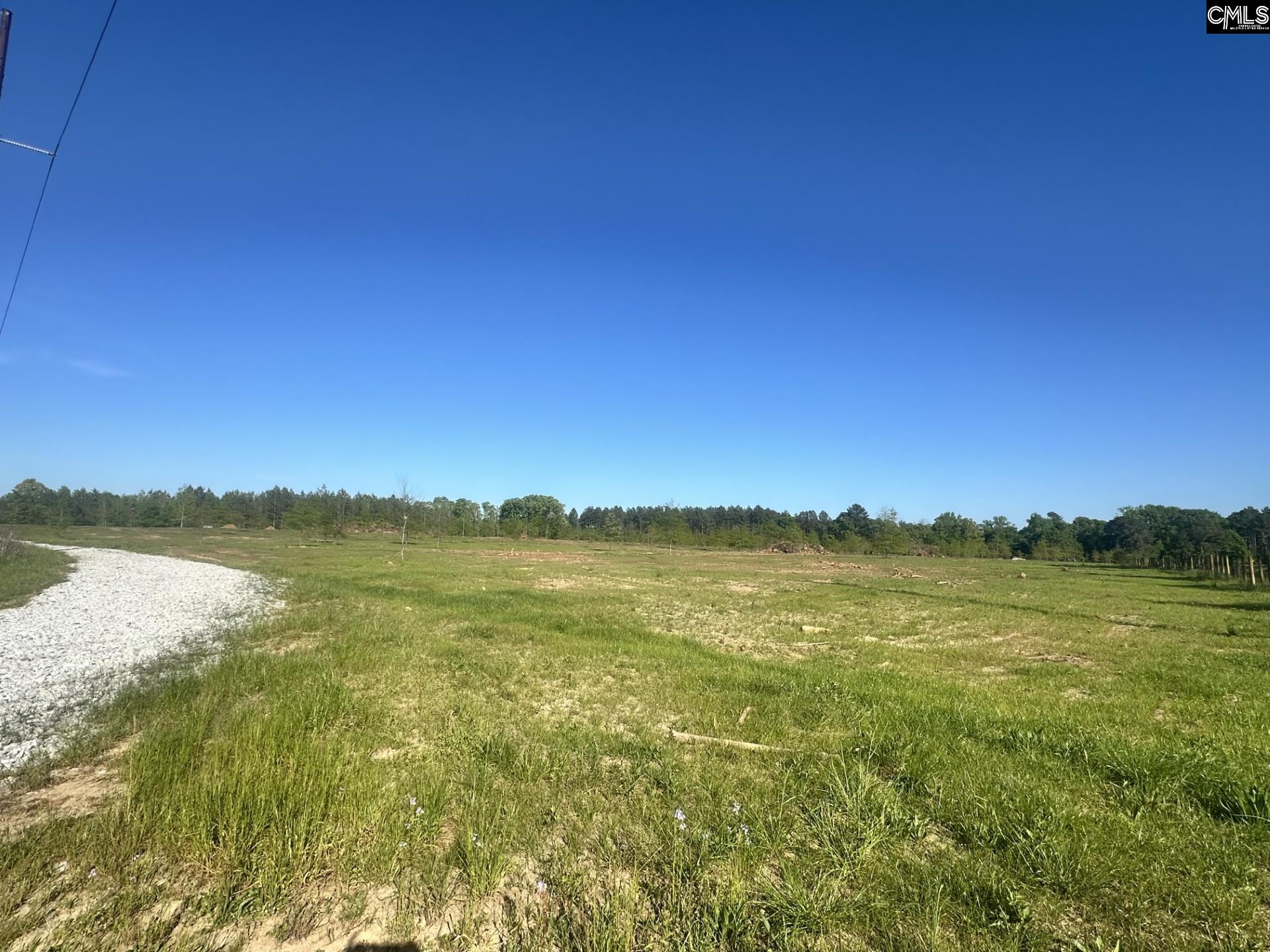 0 Livingston Road Pomaria, SC 29126 - Photo 1 of 6