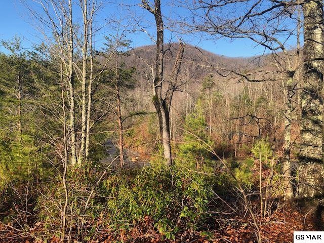 116 Summit Trails Drive Sevierville, TN 37862 - Photo 5 of 13