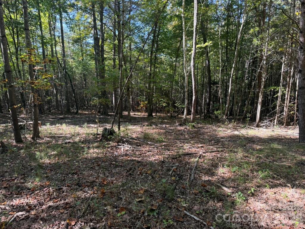 3523 Pax Hill Road Morganton, NC 28655 - Photo 5 of 14 Gallery Image 5