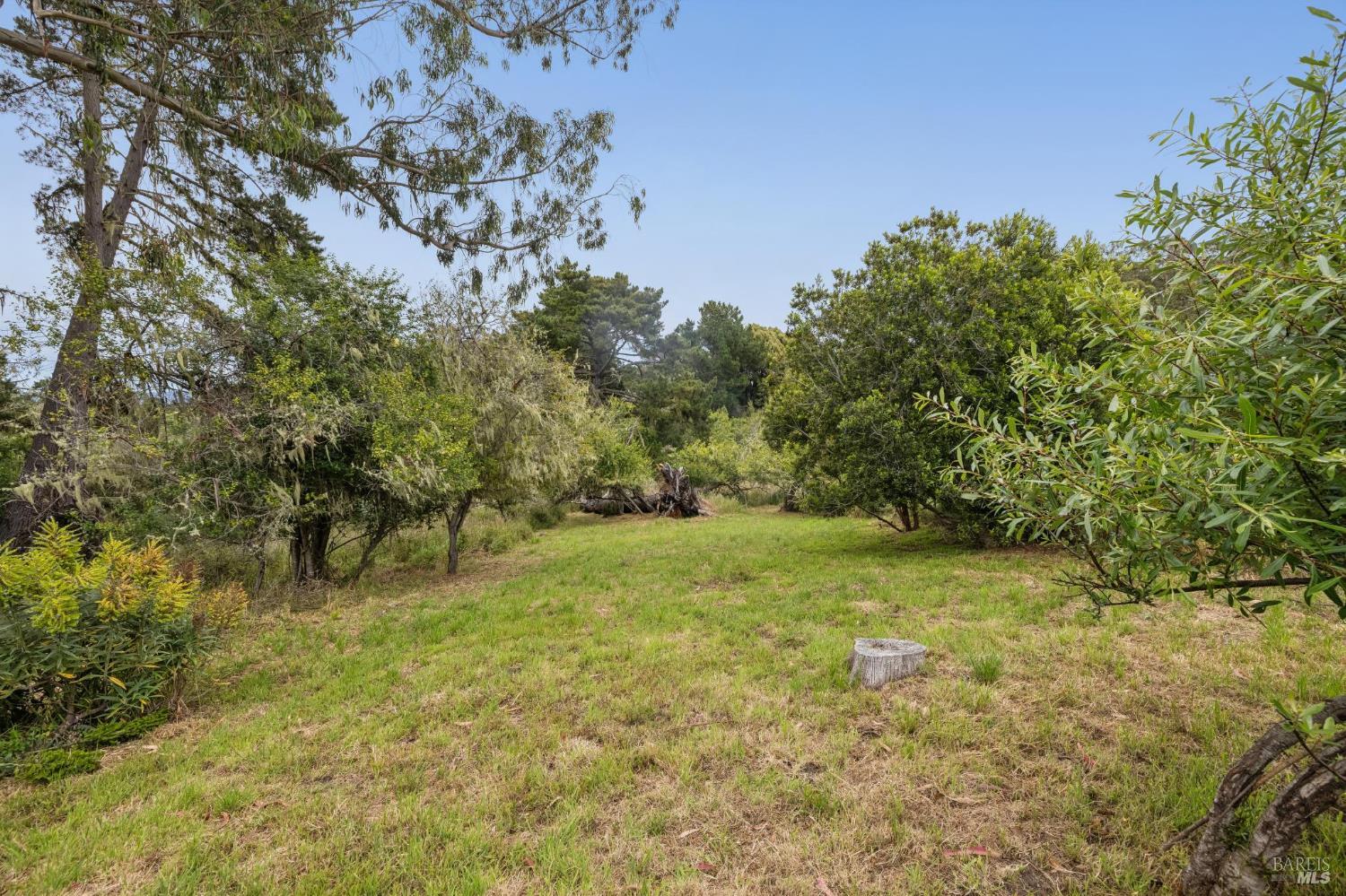 260 Kale Road Bolinas, CA 94924 - Photo 52 of 65