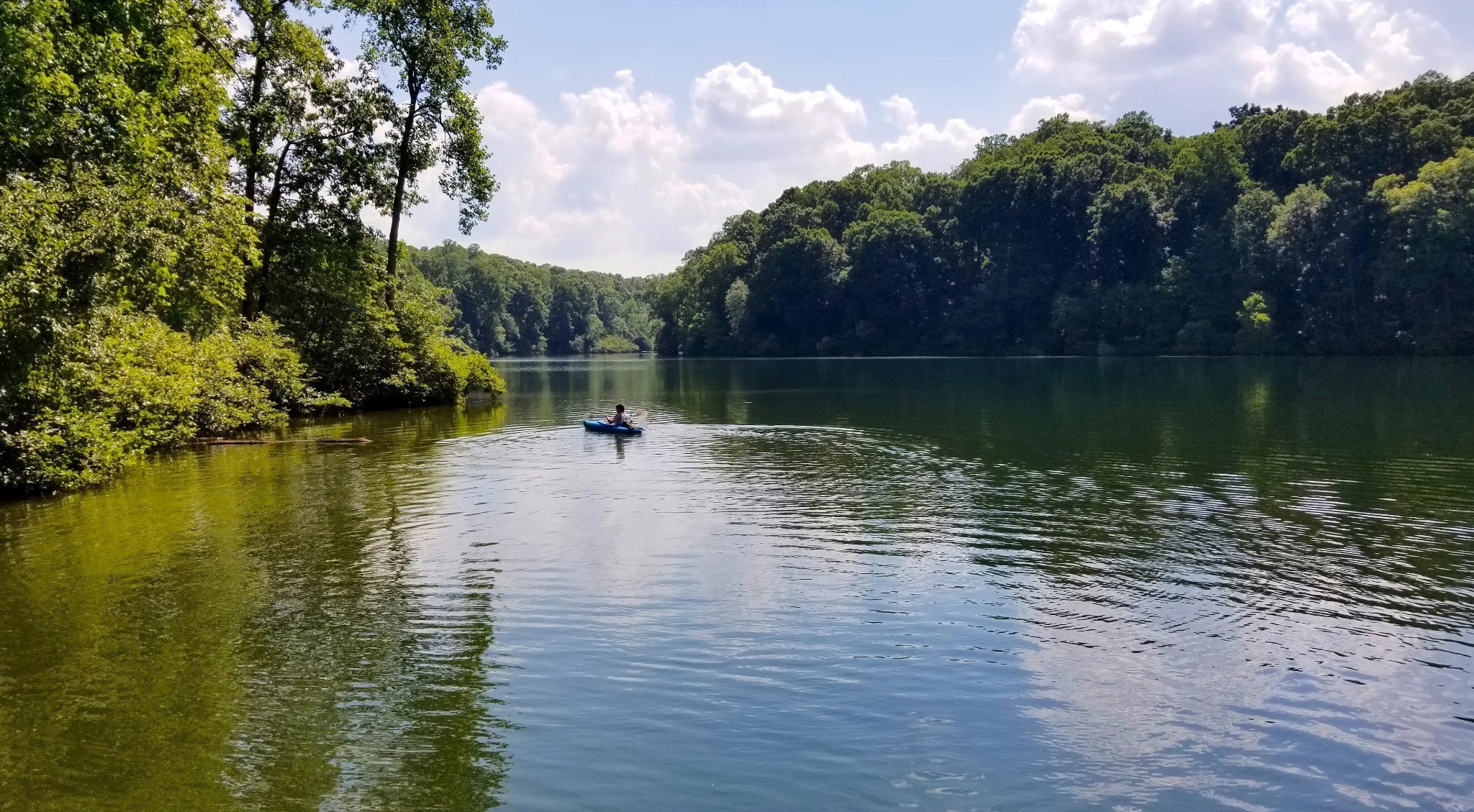 876 Ford Road White Bluff, TN 37187 - Photo 52 of 56 Montgomery Bell State Park is nearby for enjoyment of playing on the lake, golfing, playgrounds, hiking and picnics.