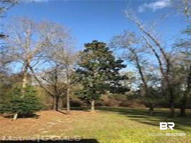 0 Havens Road Semmes, AL 36575 - Photo 1 of 1