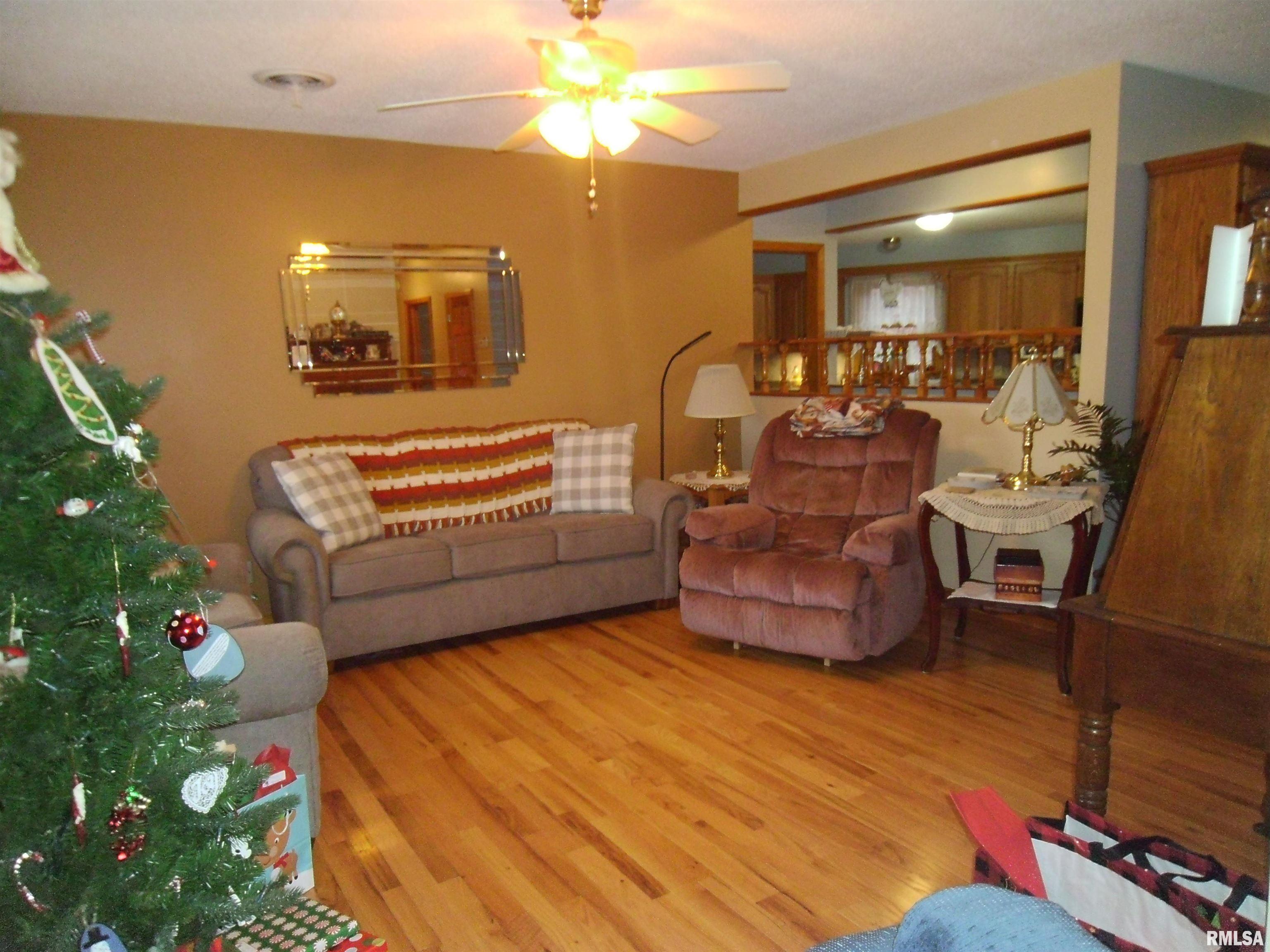 407 Casey Road Murphysboro, IL 62966 - Photo 2 of 73
