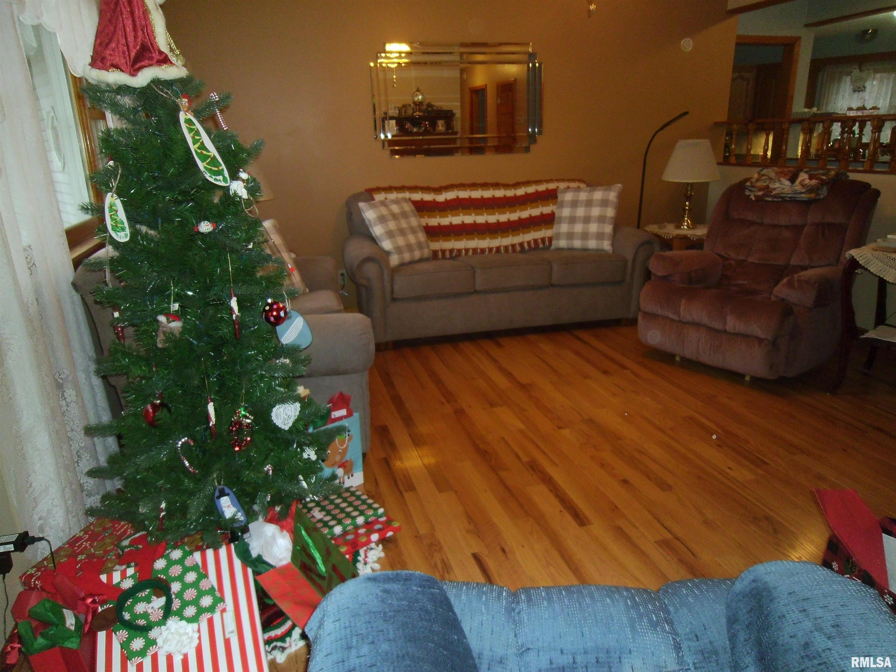 407 Casey Road Murphysboro, IL 62966 - Photo 3 of 73