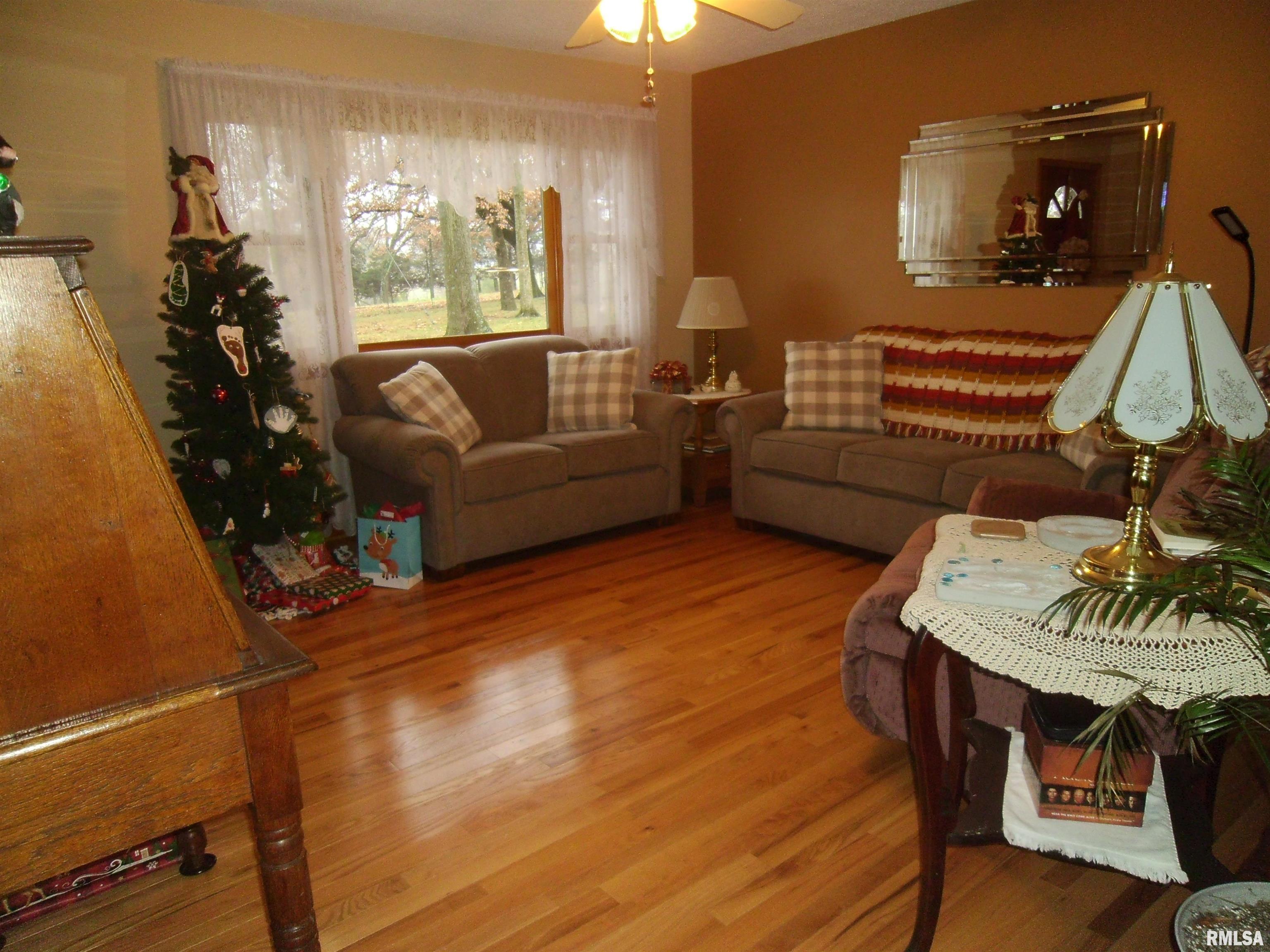 407 Casey Road Murphysboro, IL 62966 - Photo 4 of 73