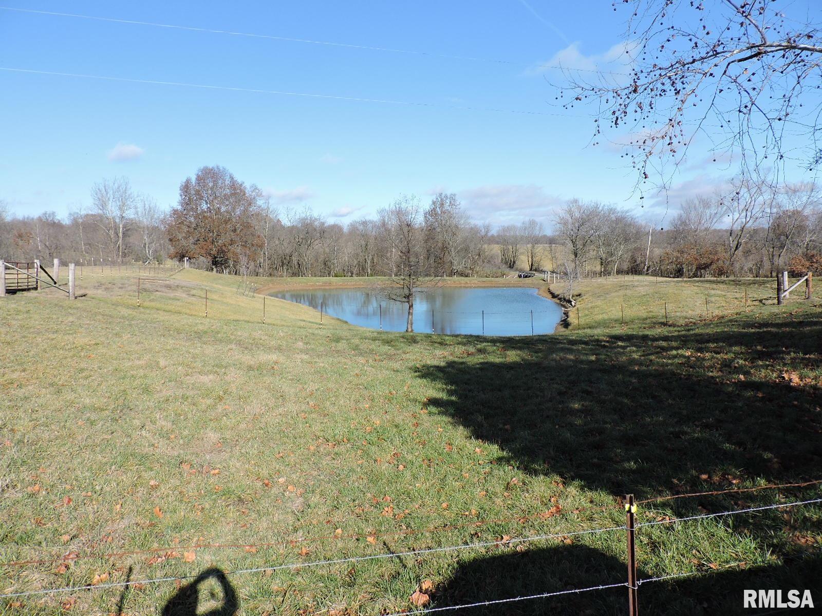 407 Casey Road Murphysboro, IL 62966 - Photo 44 of 73