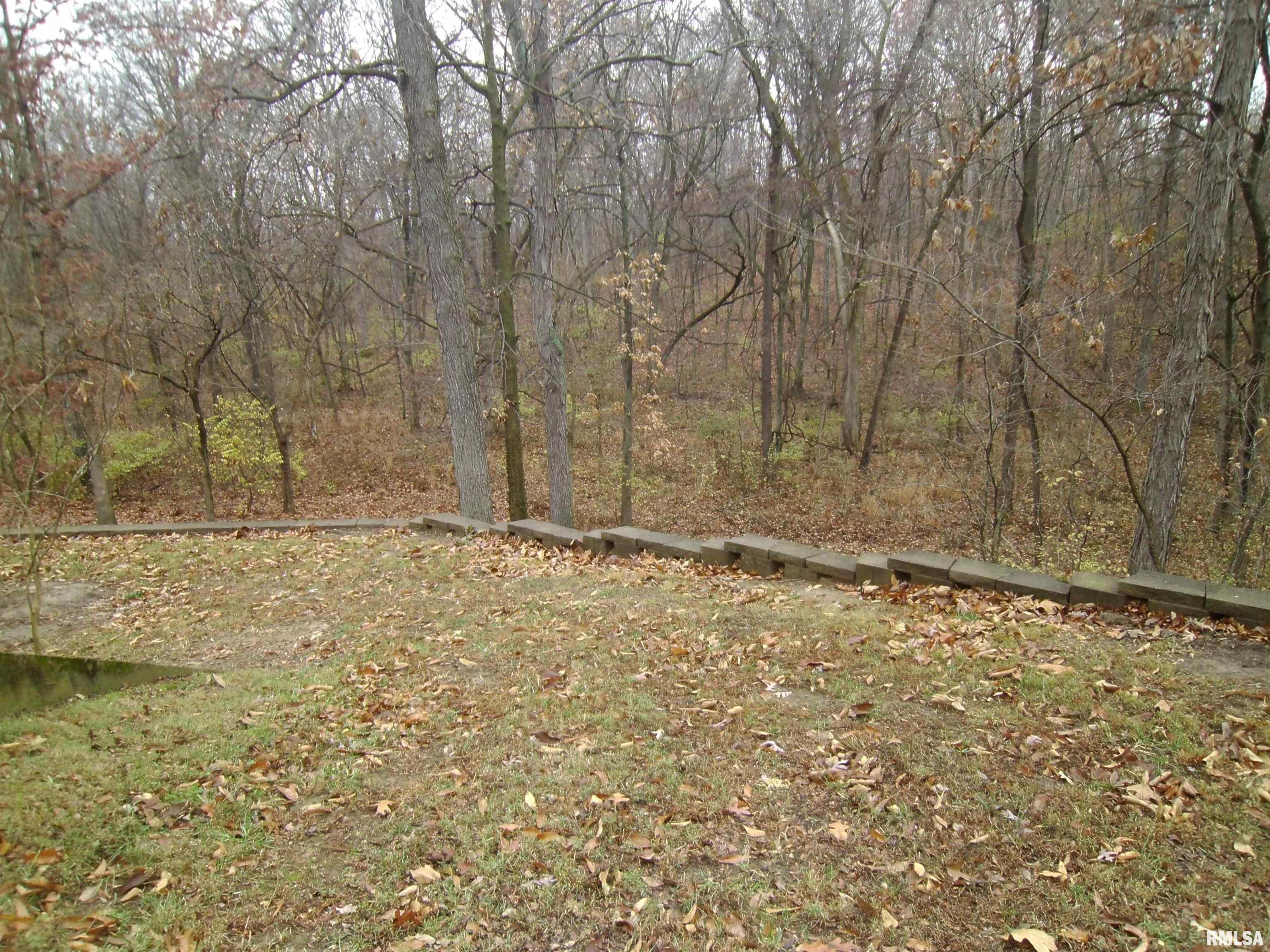 407 Casey Road Murphysboro, IL 62966 - Photo 45 of 73