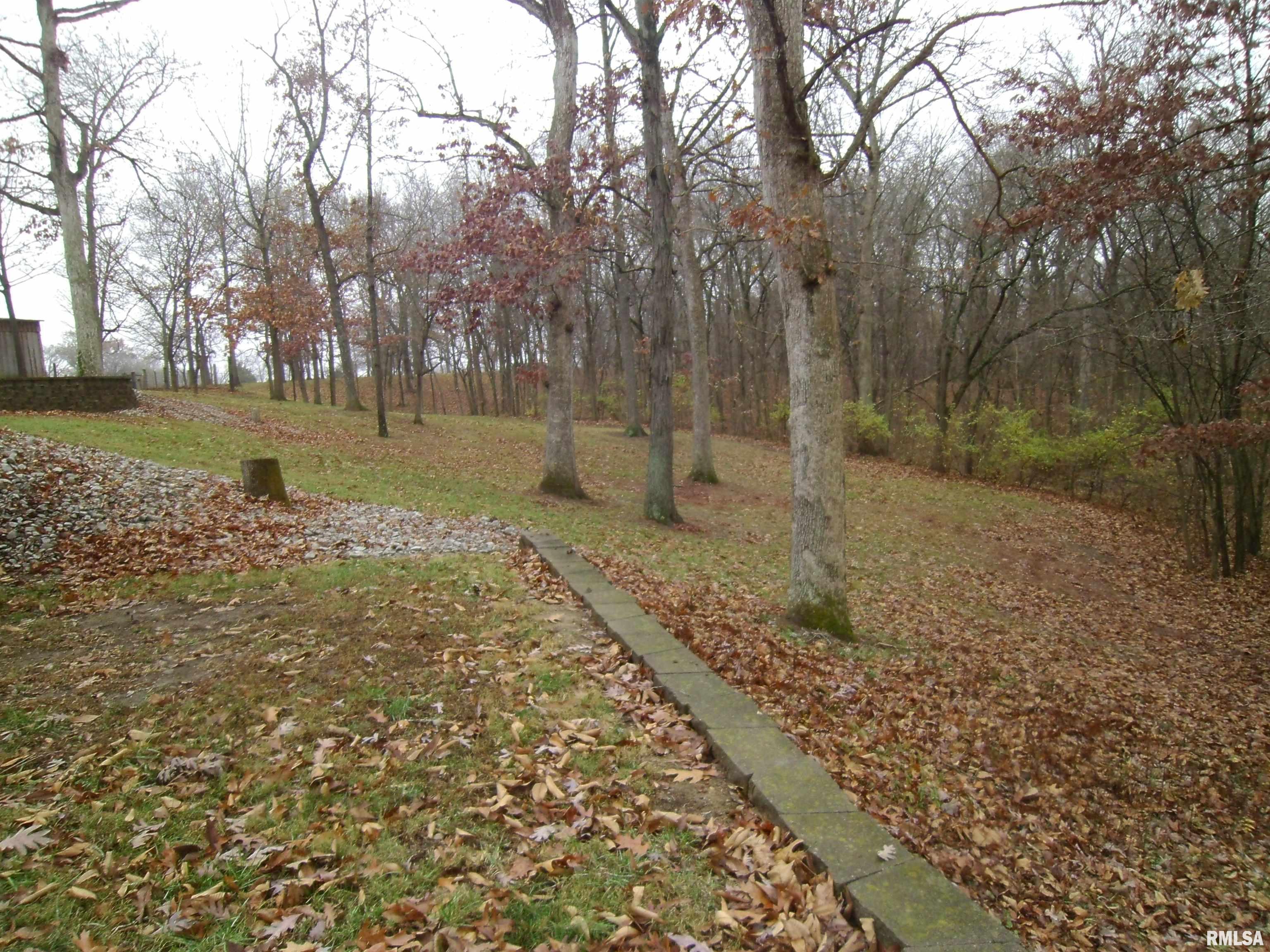 407 Casey Road Murphysboro, IL 62966 - Photo 46 of 73