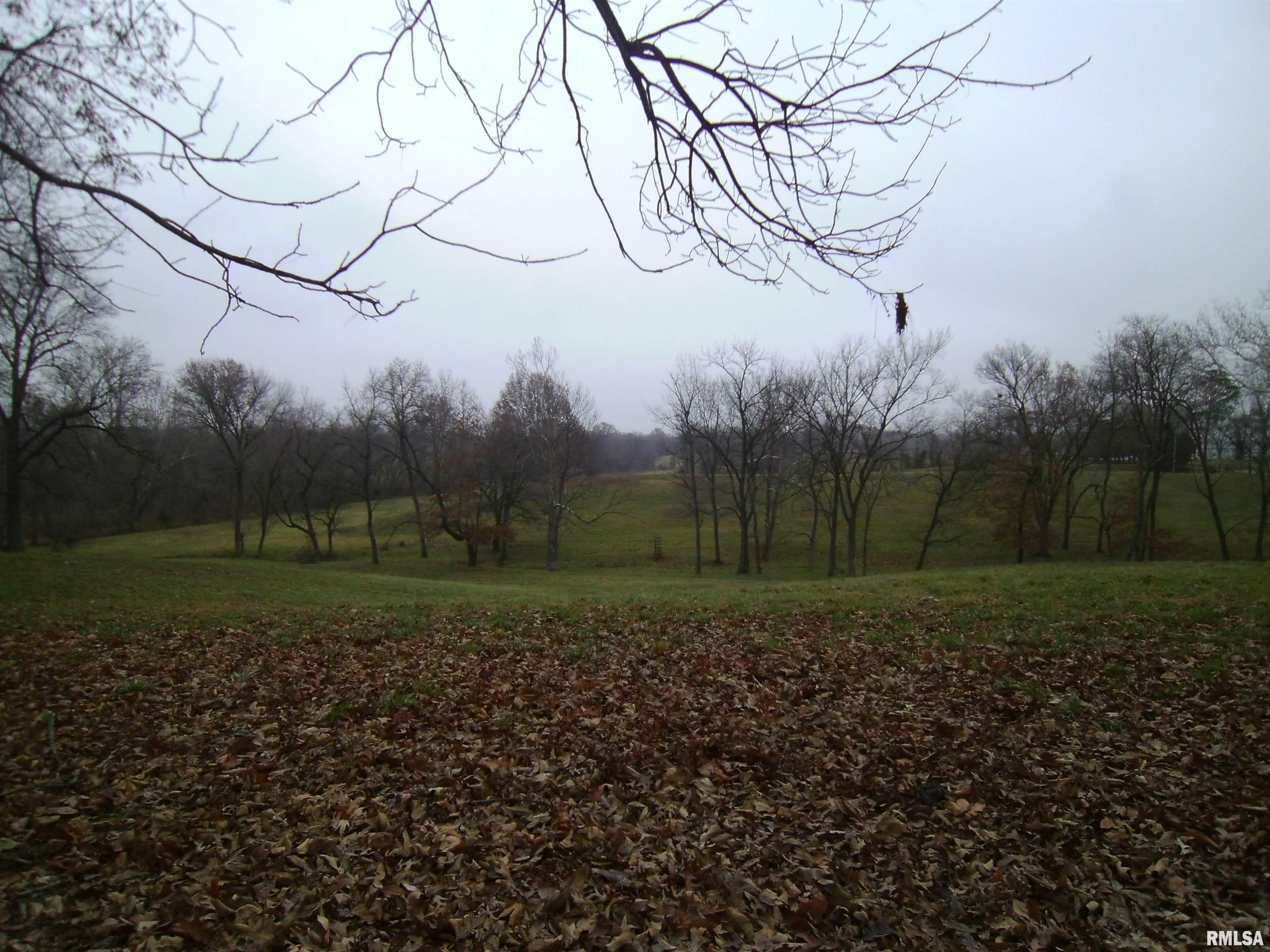 407 Casey Road Murphysboro, IL 62966 - Photo 47 of 73