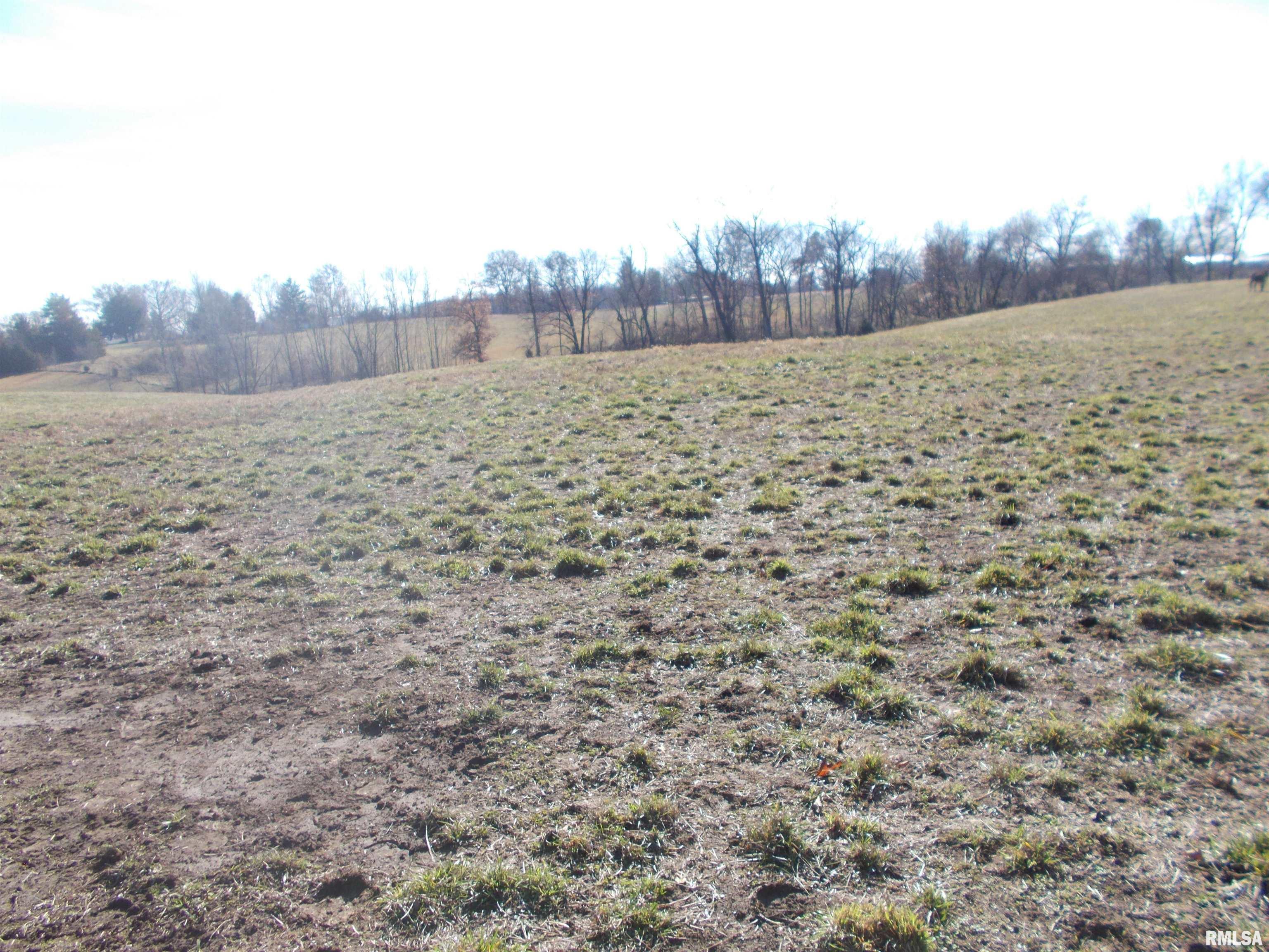 407 Casey Road Murphysboro, IL 62966 - Photo 48 of 73
