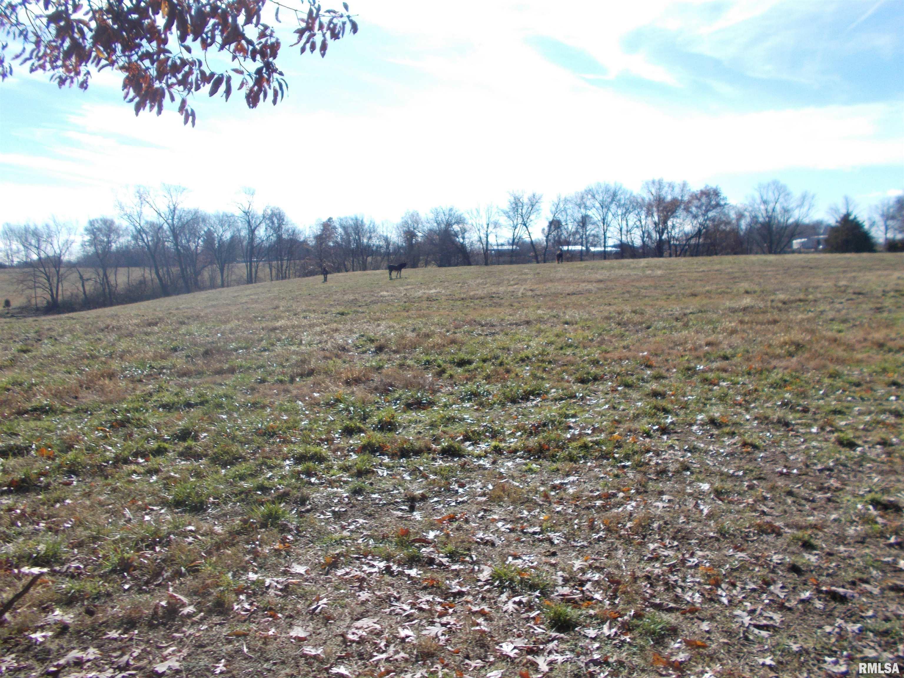 407 Casey Road Murphysboro, IL 62966 - Photo 52 of 73