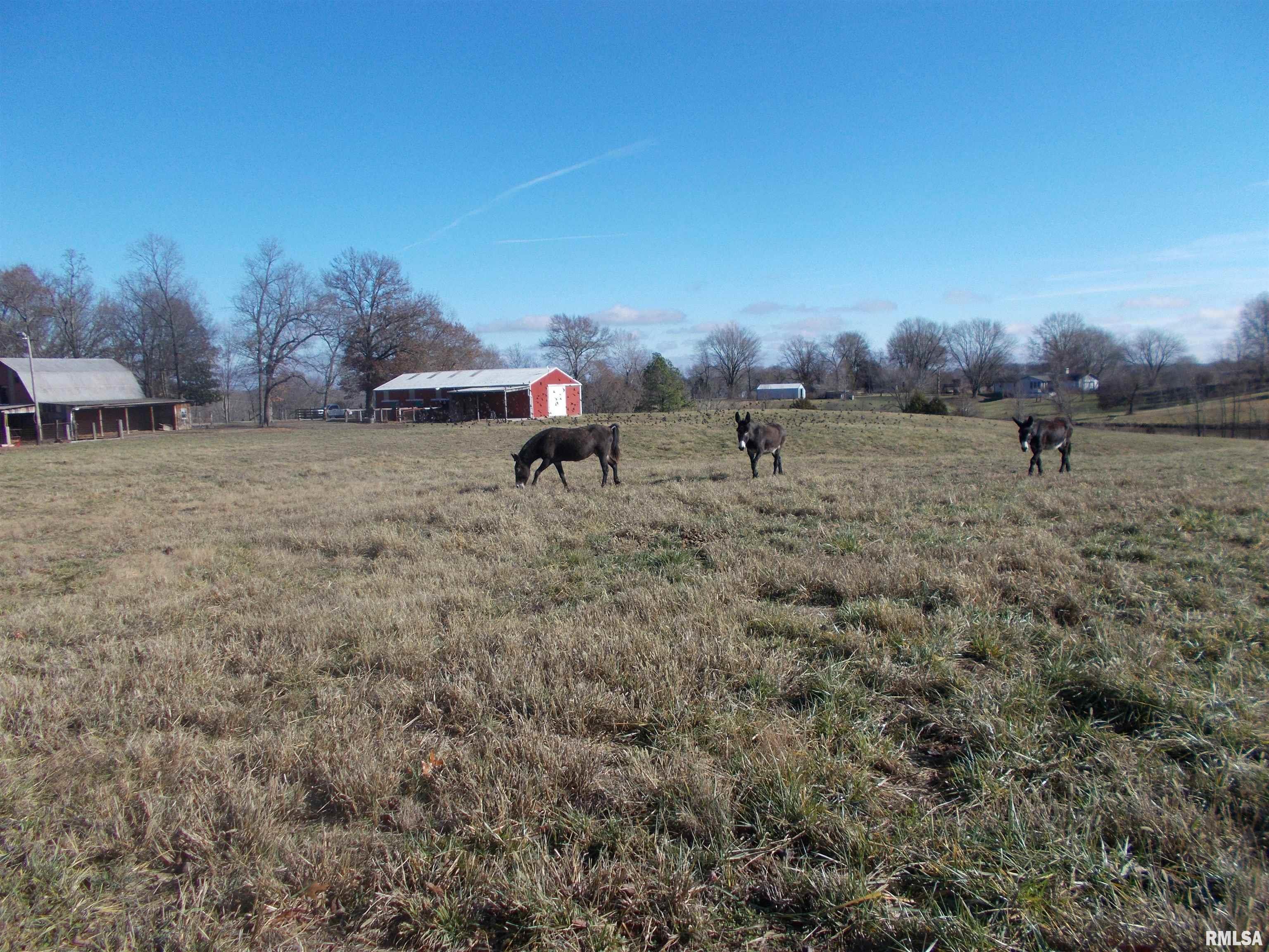 407 Casey Road Murphysboro, IL 62966 - Photo 53 of 73