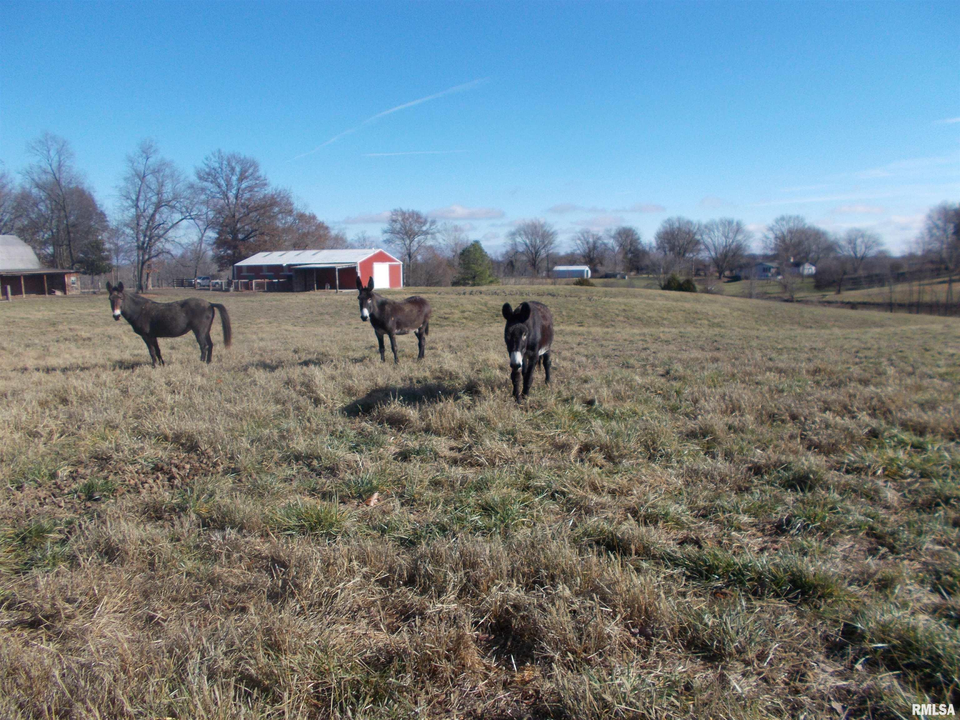 407 Casey Road Murphysboro, IL 62966 - Photo 54 of 73